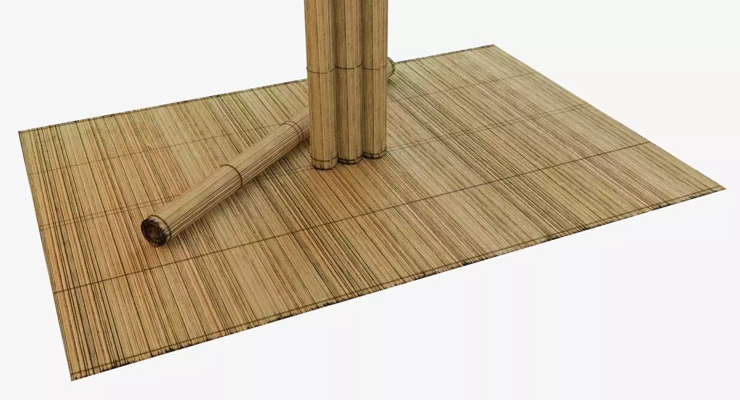 Bamboo Mat tatami 3D model_0