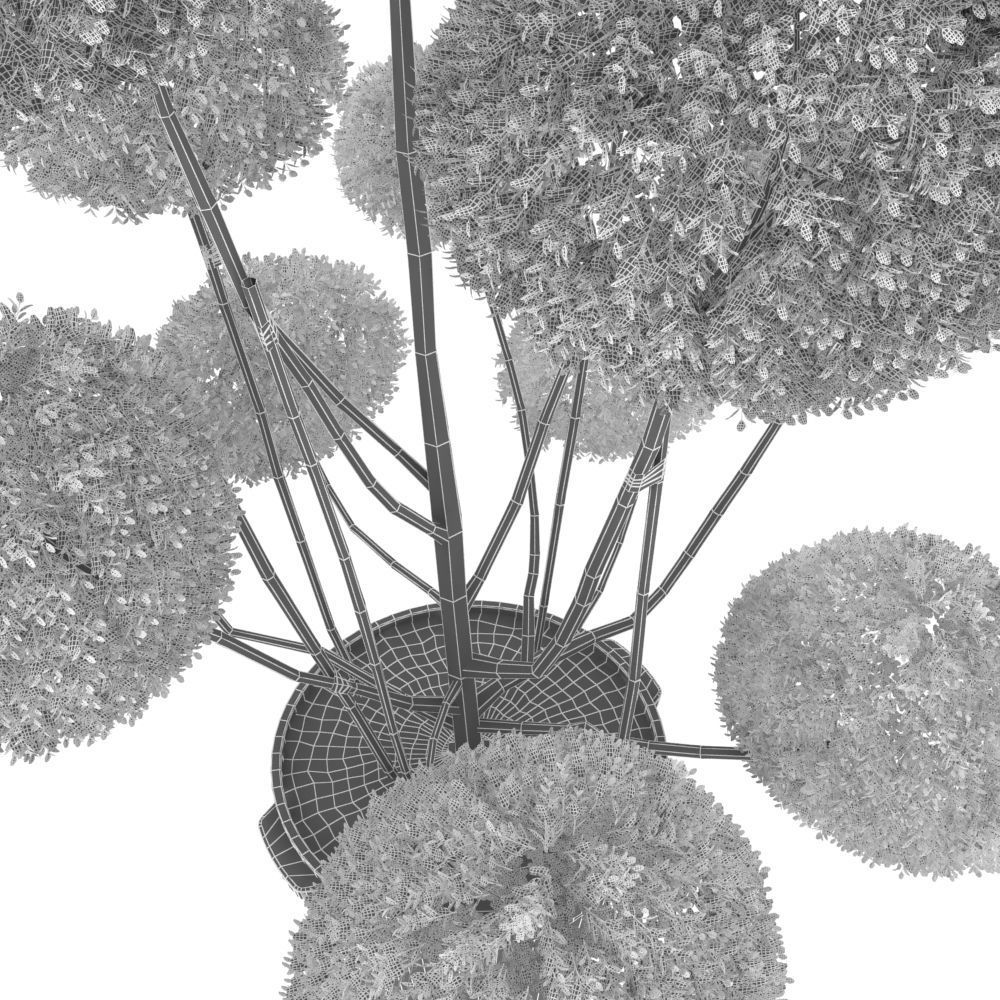 Cutted styled bush buxus in pot 3D model_7