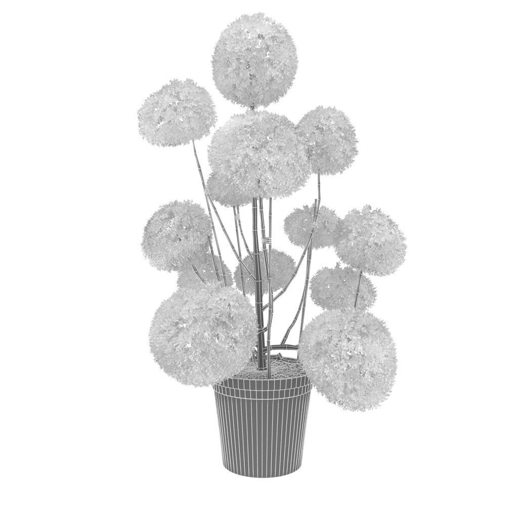 Cutted styled bush buxus in pot 3D model_9