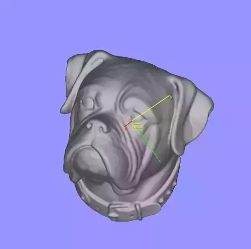 Boxer head