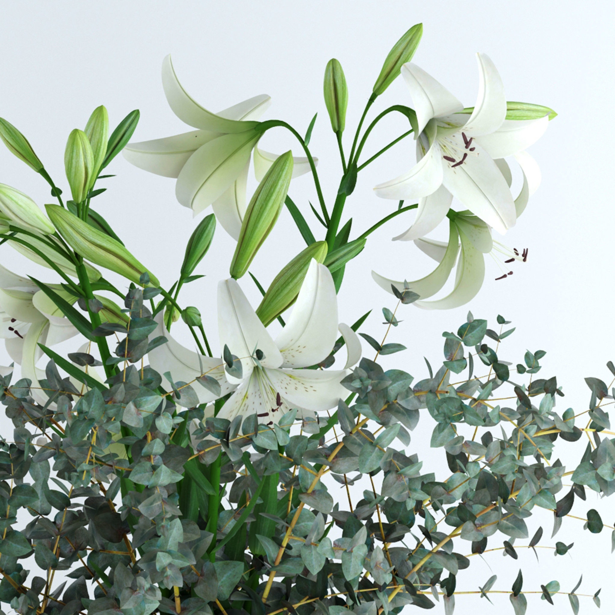 Scandinavian bouquets collection 3D model_11