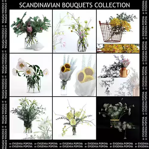 Scandinavian bouquets collection 3D model