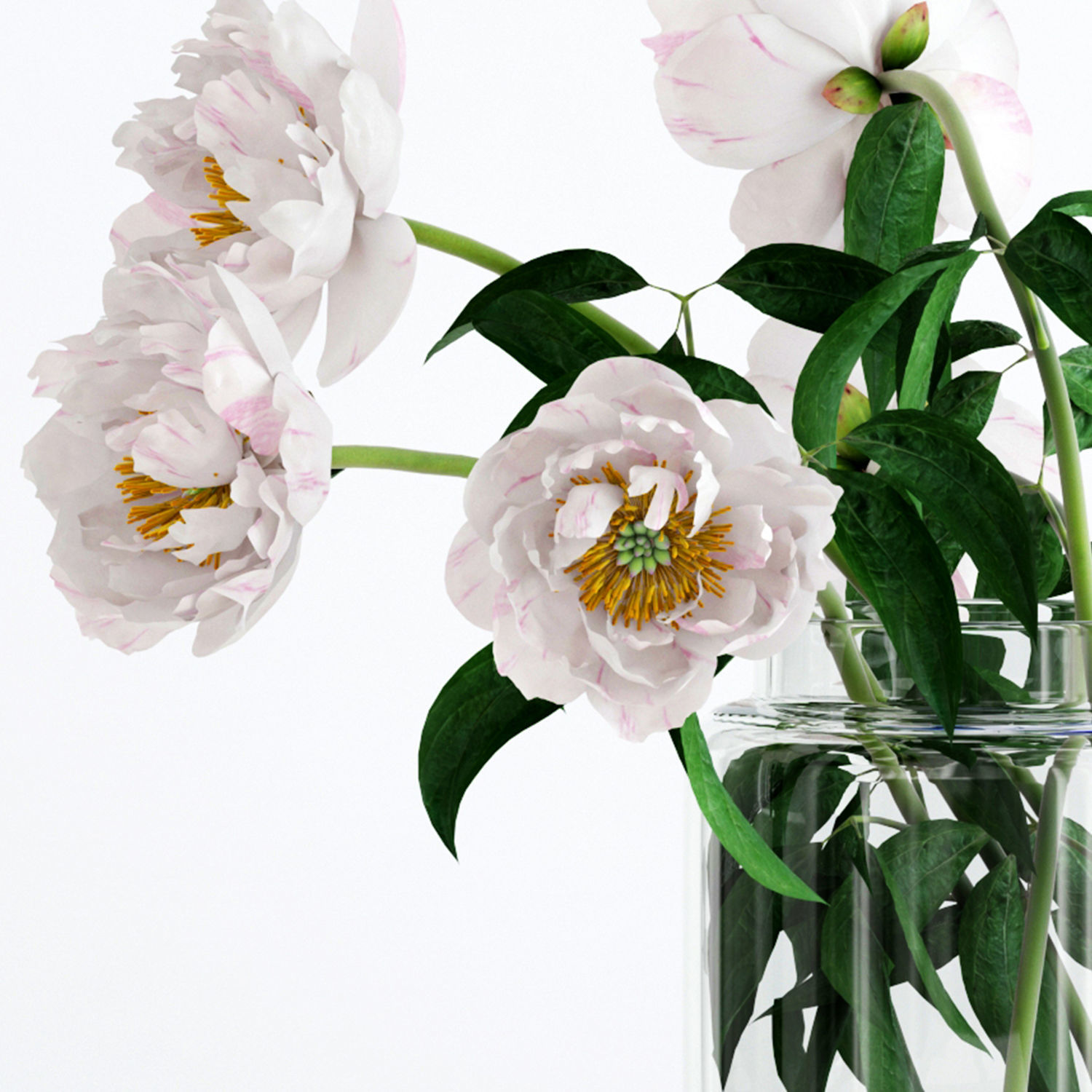 Scandinavian bouquets collection 3D model_17