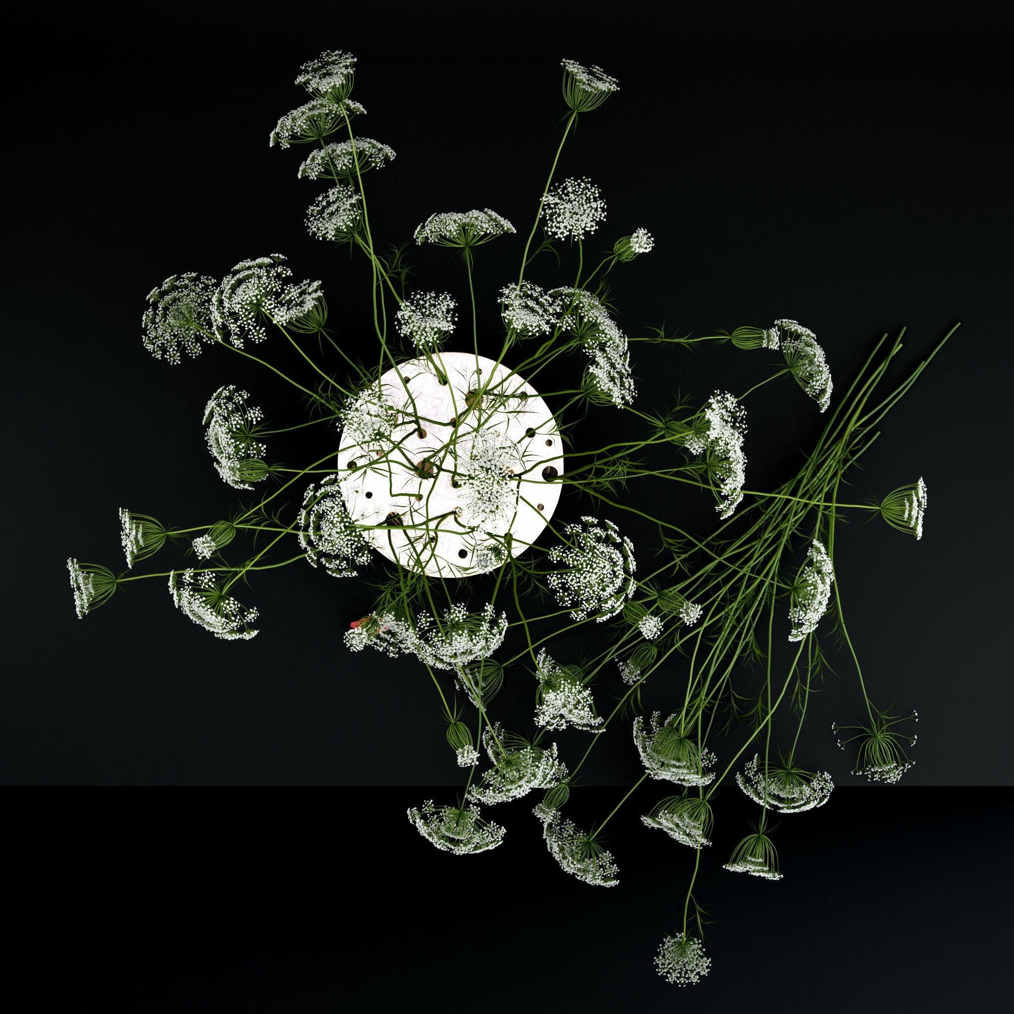 Anne lace in Ikebana vase 3D model_1