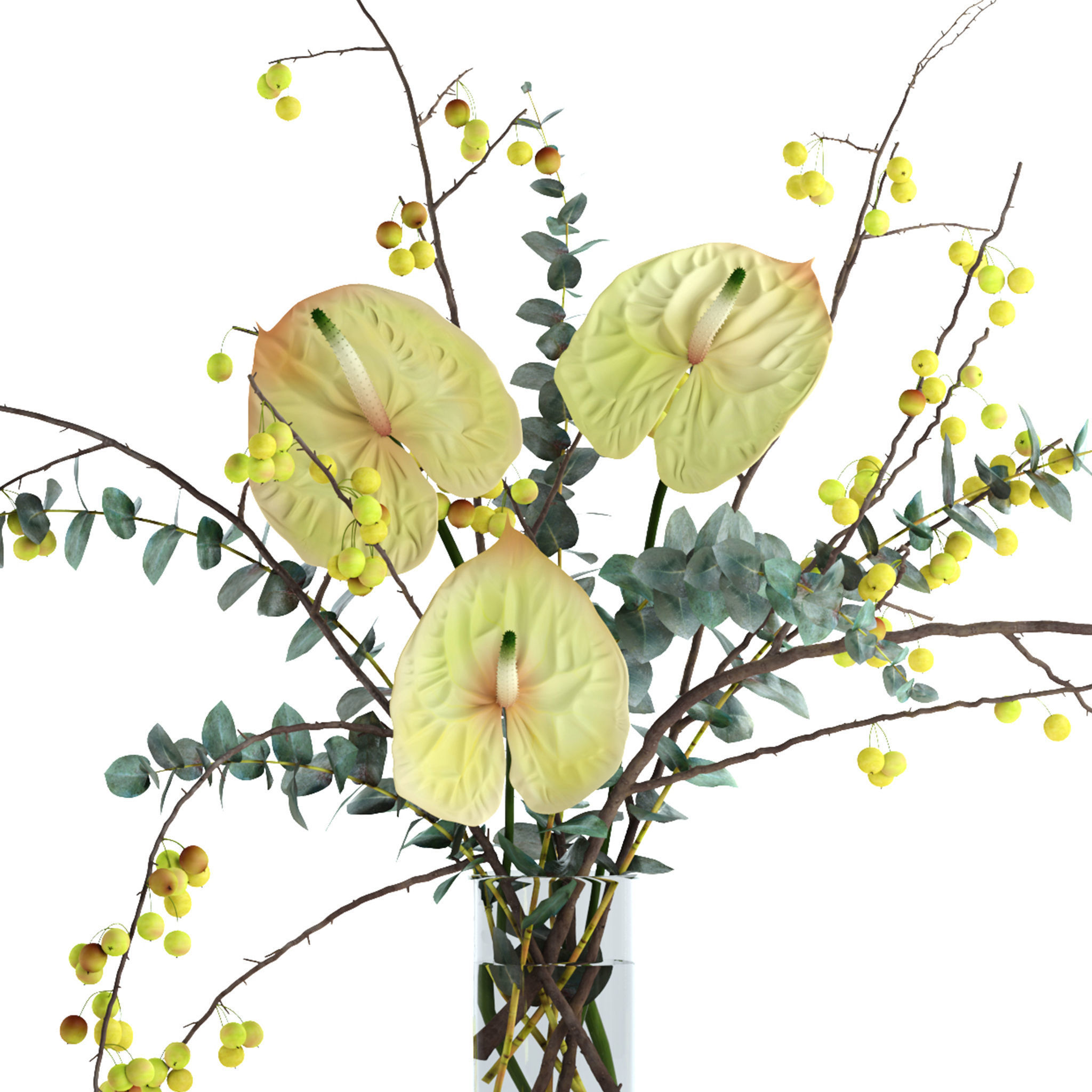 Green anthurium and Crabapple and Eucalyptus 3D model_9
