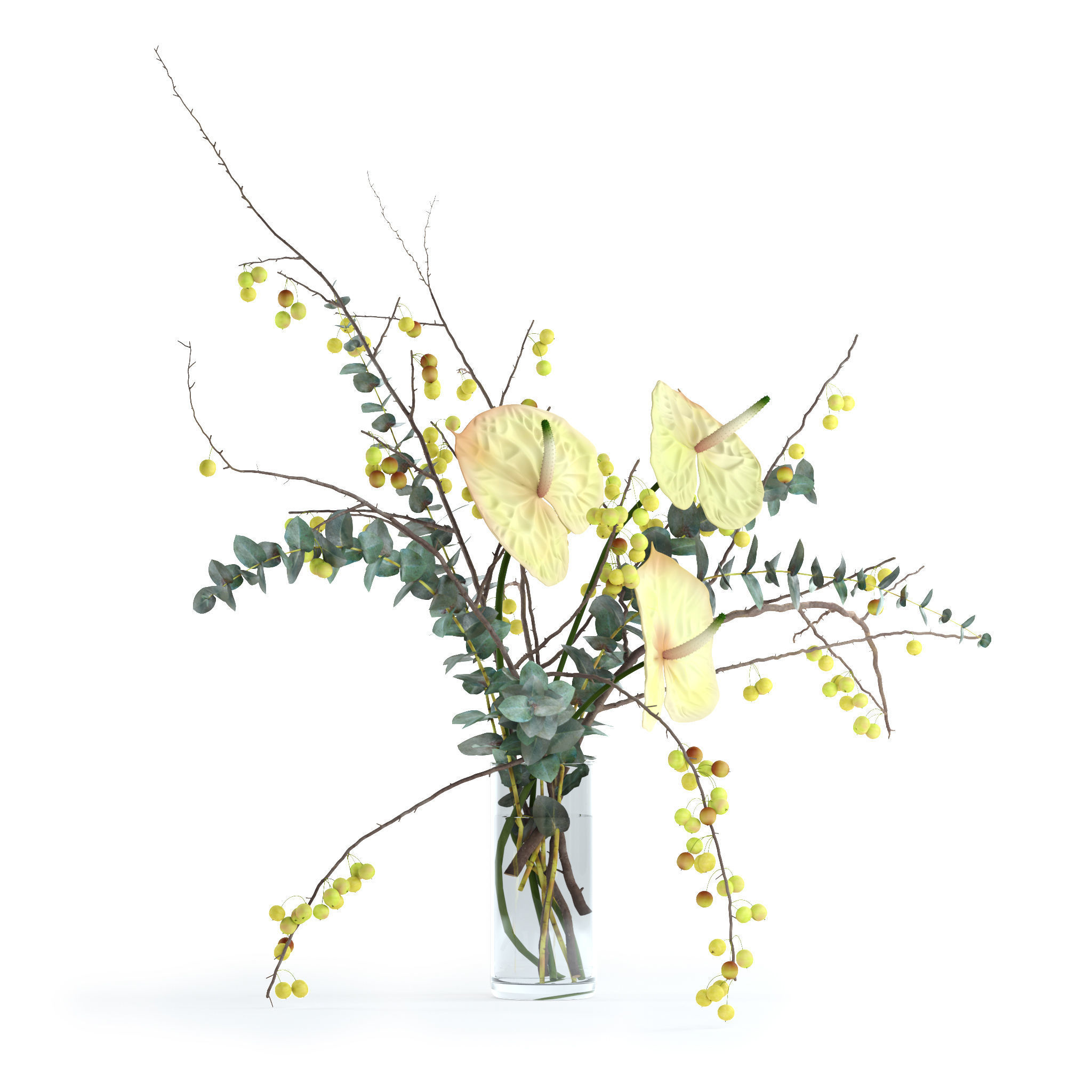 Green anthurium and Crabapple and Eucalyptus 3D model_1