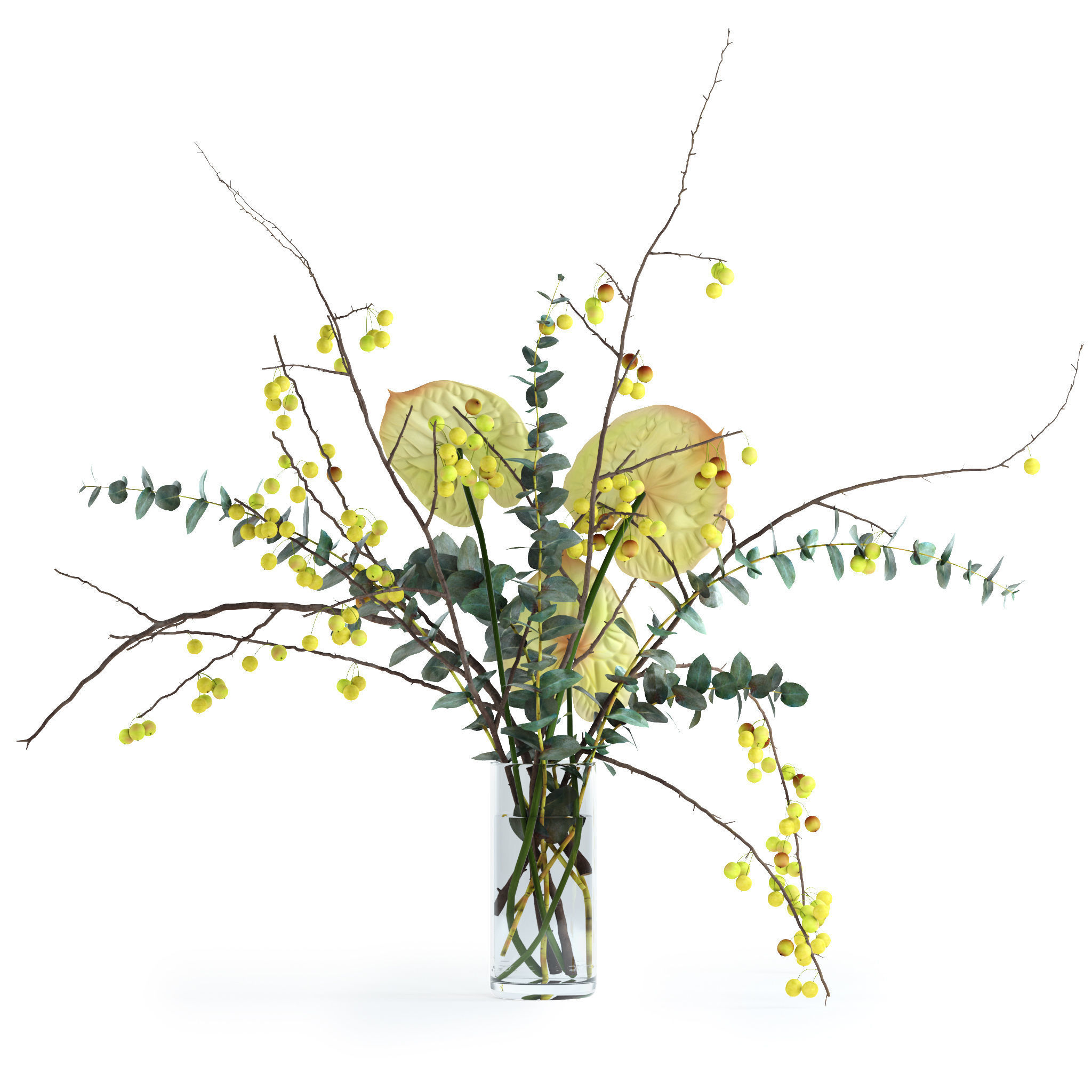 Green anthurium and Crabapple and Eucalyptus 3D model_3