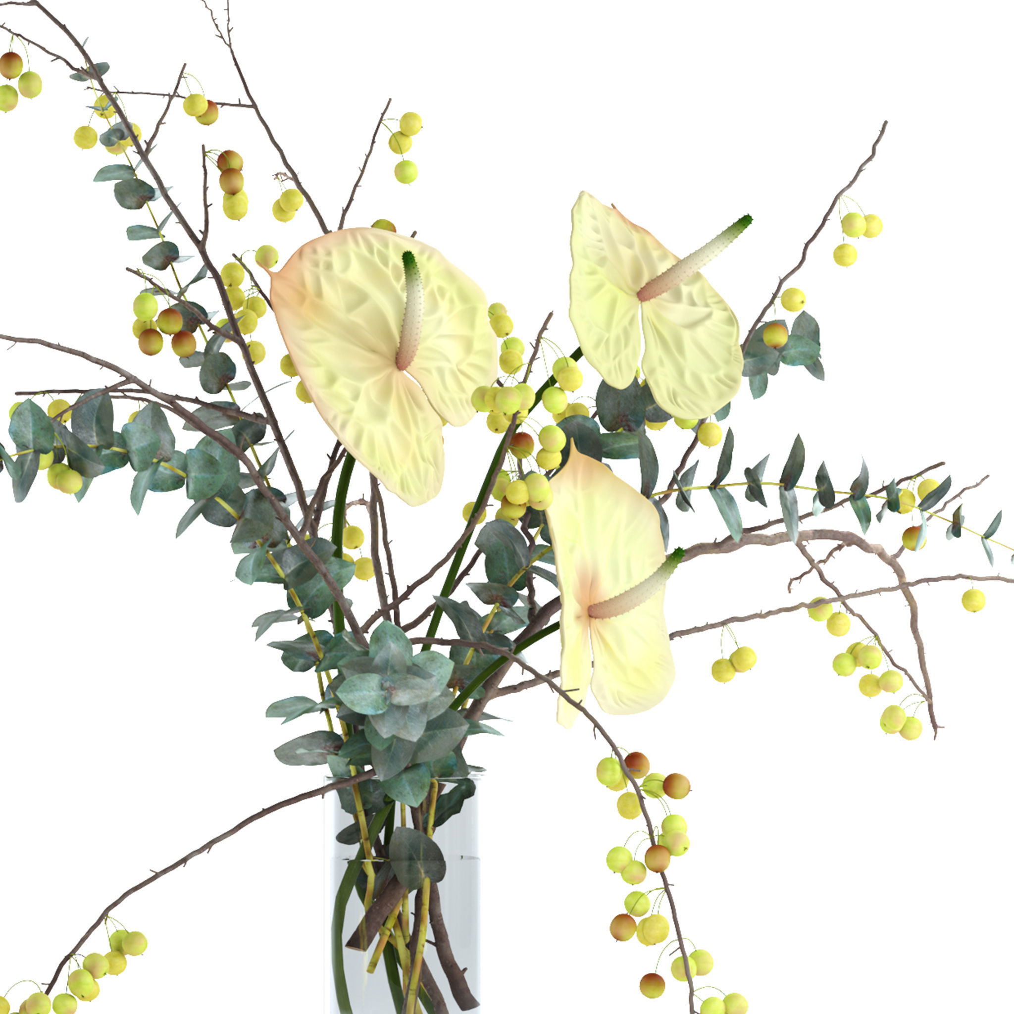 Green anthurium and Crabapple and Eucalyptus 3D model_8