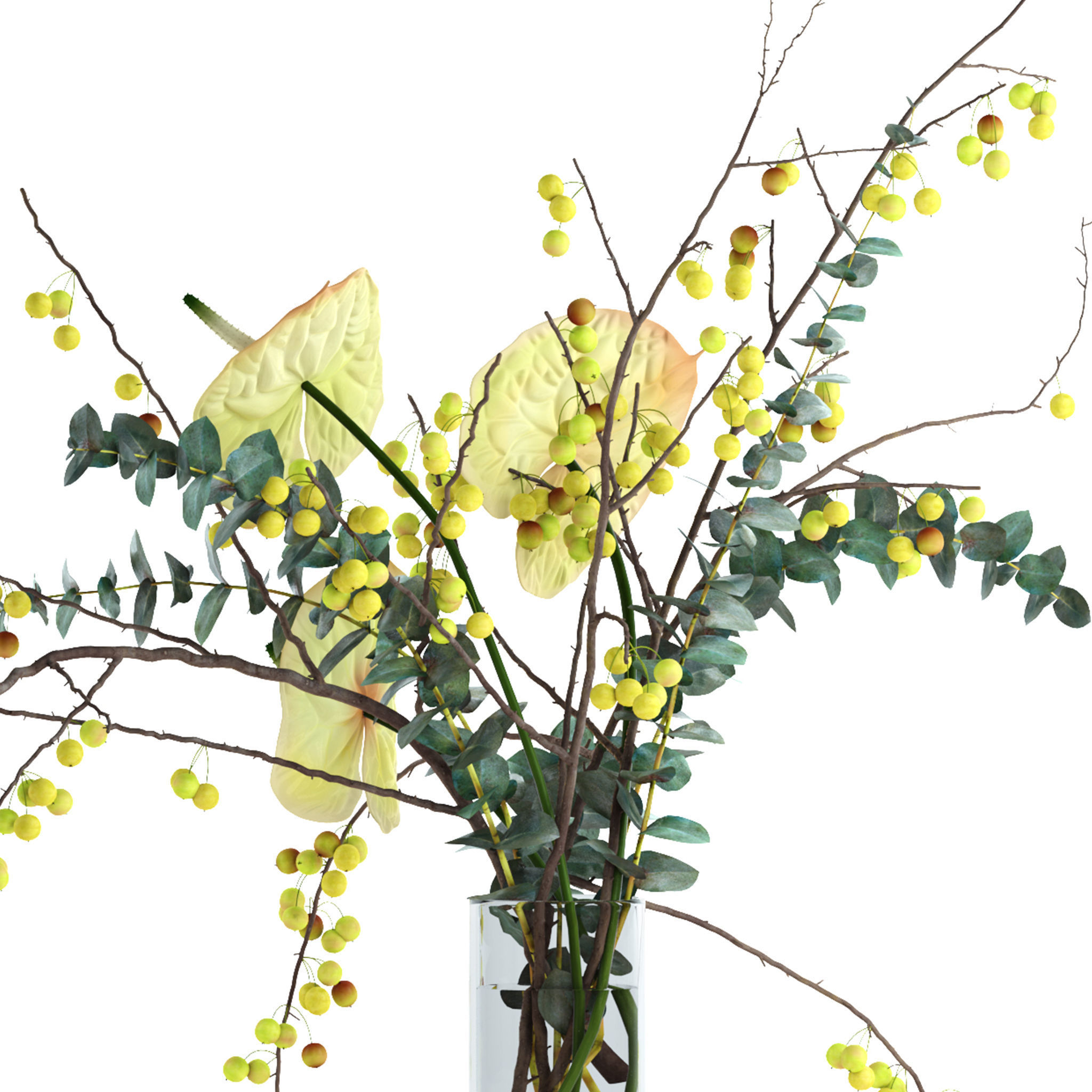 Green anthurium and Crabapple and Eucalyptus 3D model_7