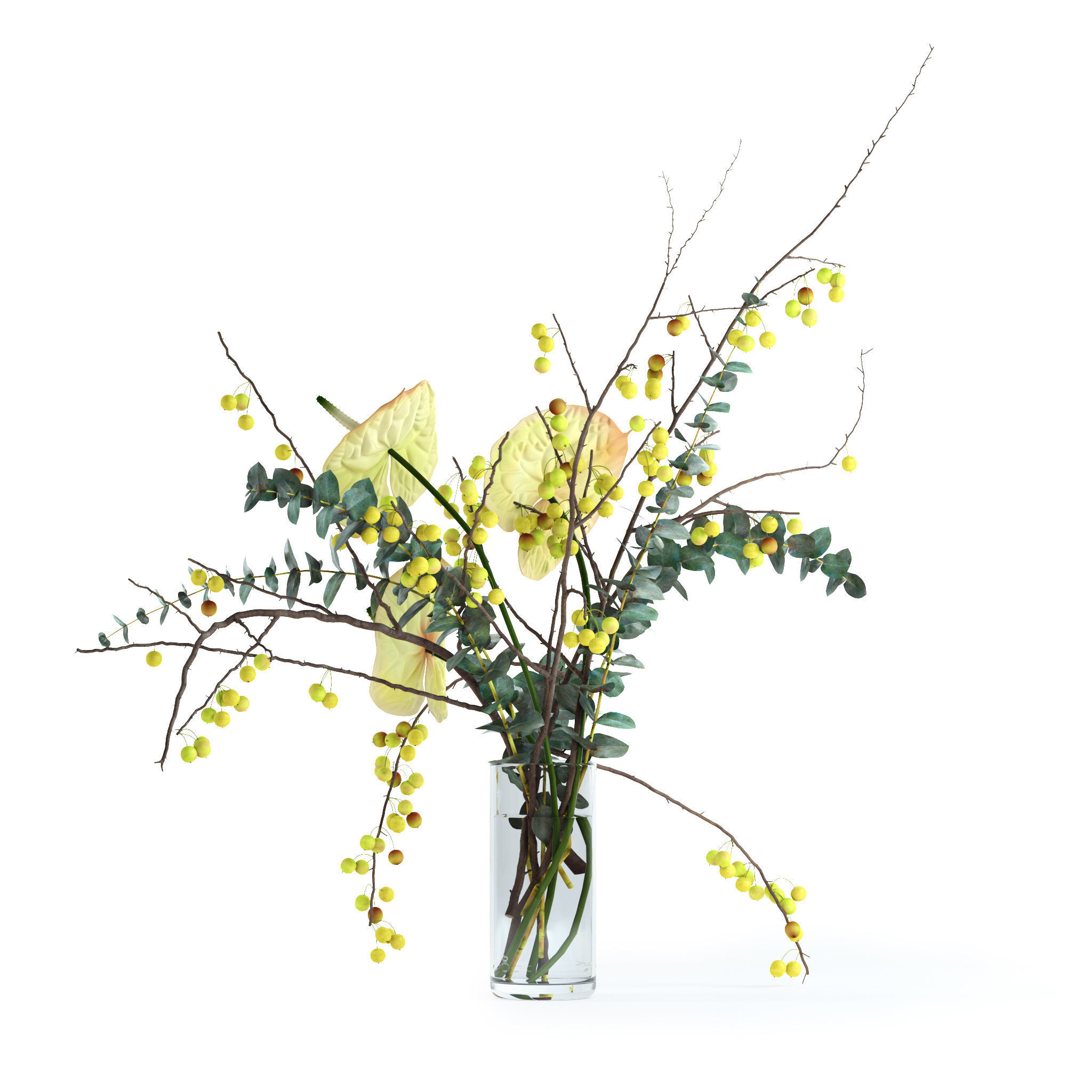 Green anthurium and Crabapple and Eucalyptus 3D model_4