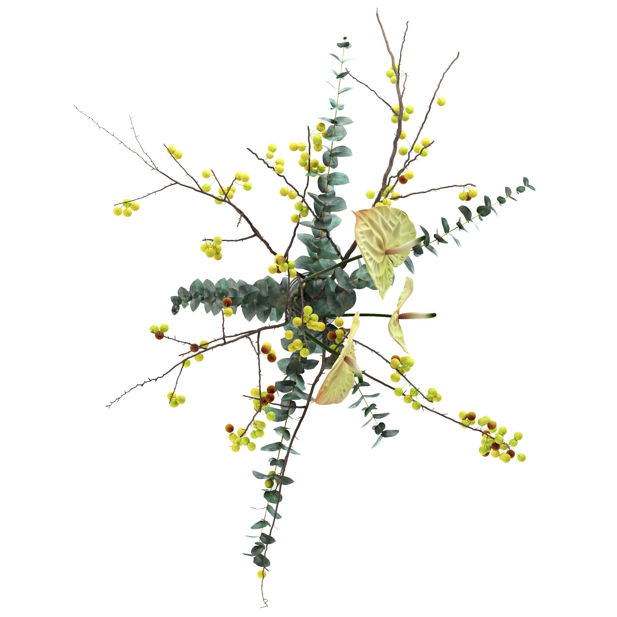 Green anthurium and Crabapple and Eucalyptus 3D model_6