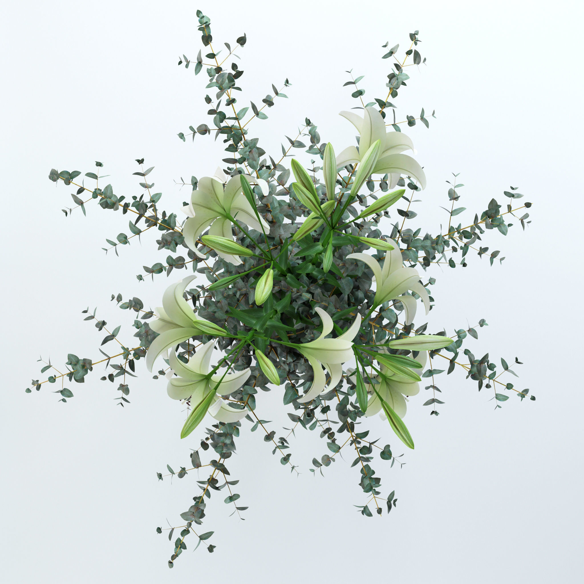 Lilies and Eucalyptus 3D model_7