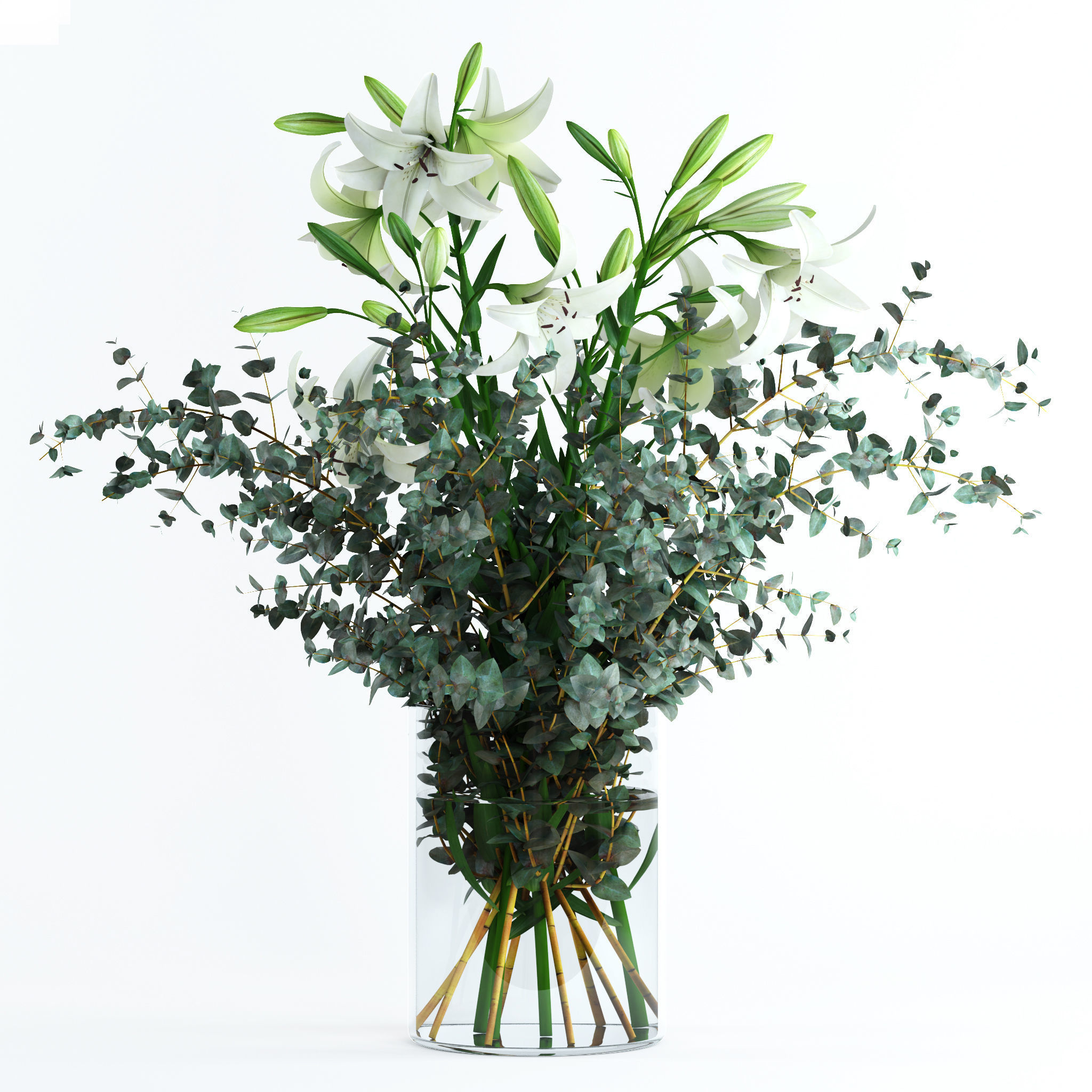 Lilies and Eucalyptus 3D model_1