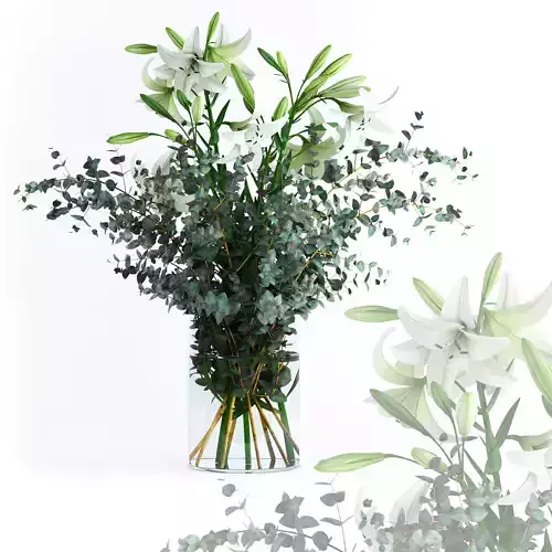 Lilies and Eucalyptus 3D model