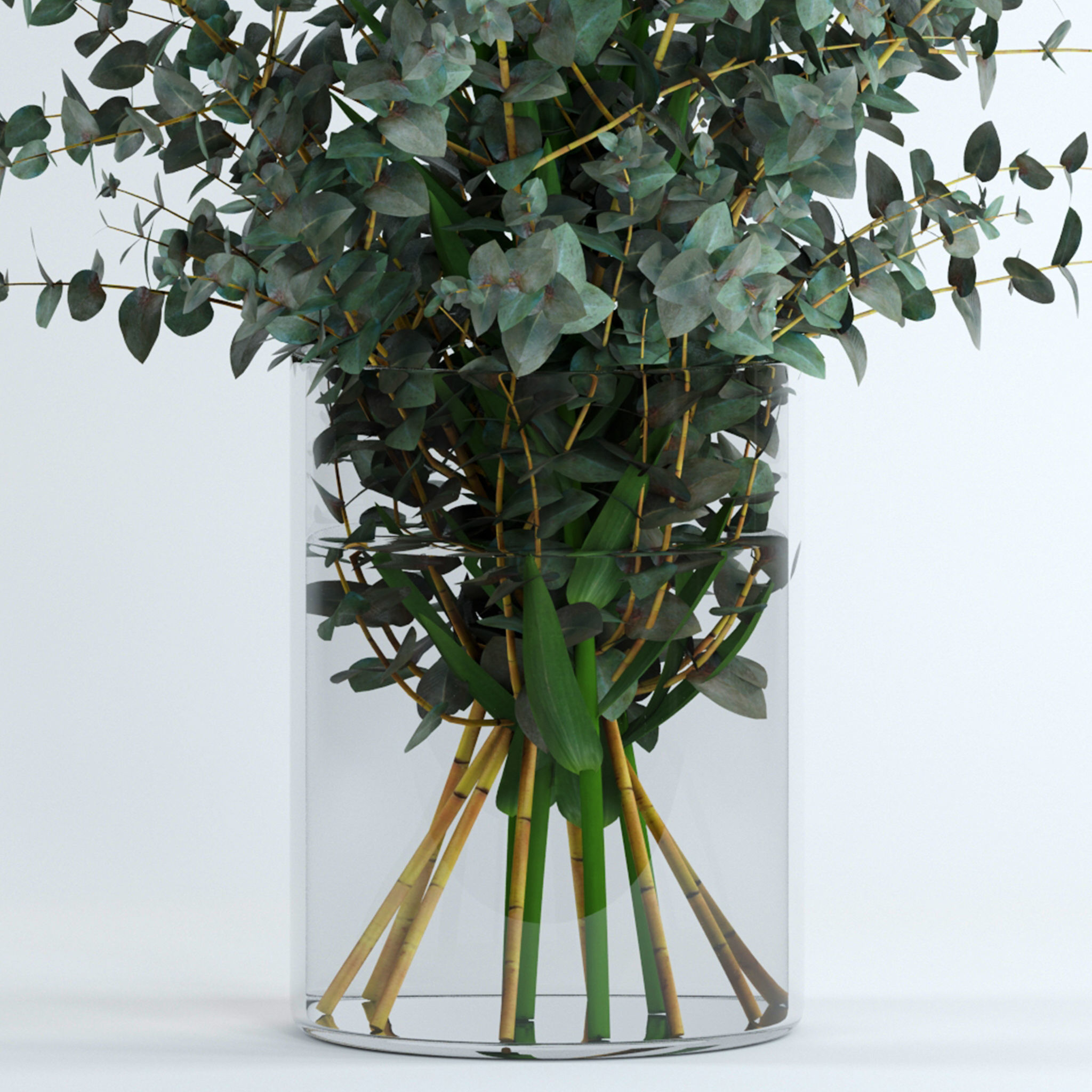 Lilies and Eucalyptus 3D model_9