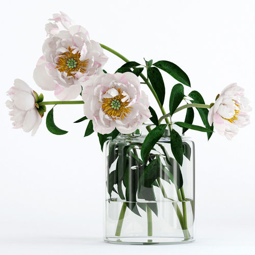 Light pink peones 3D model