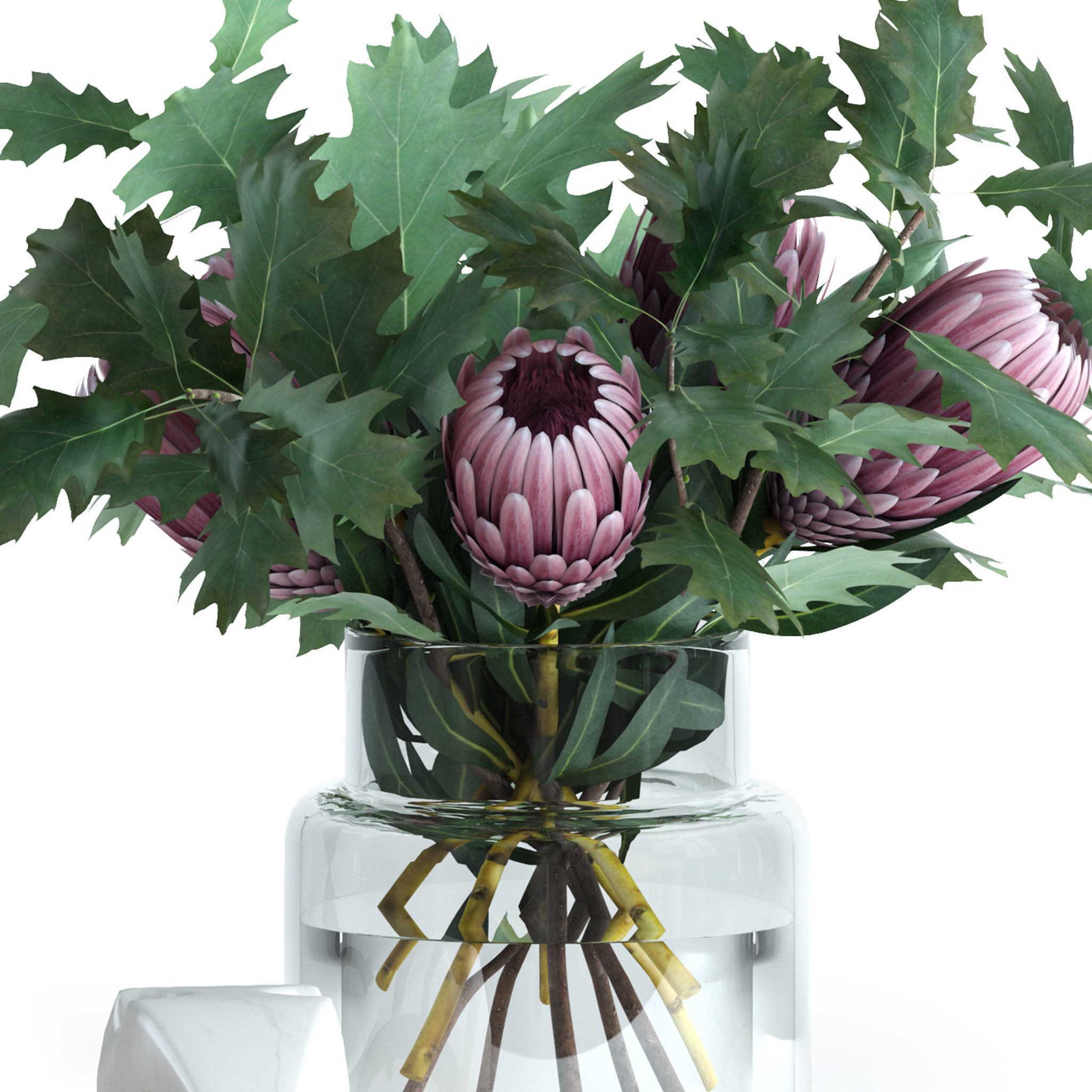 Protea and Oak leaves 3D model_9
