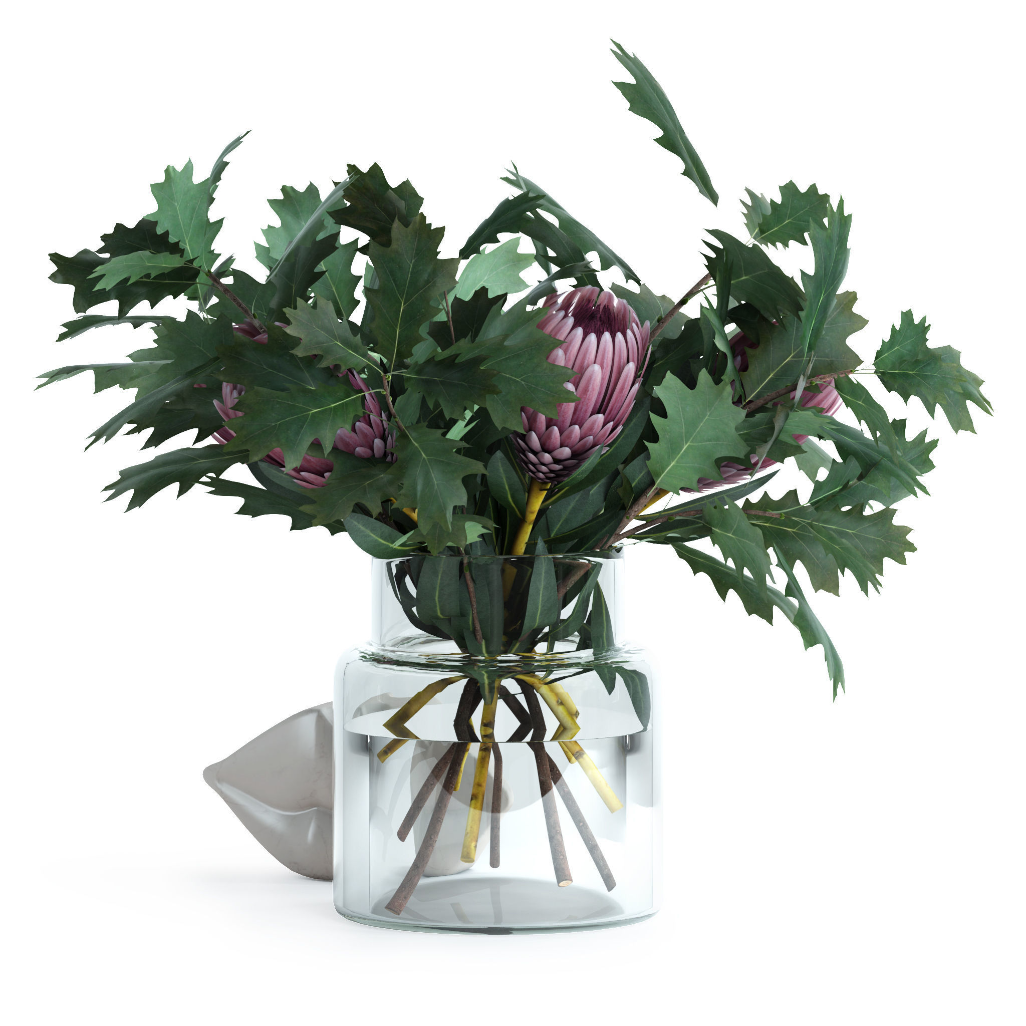 Protea and Oak leaves 3D model_3