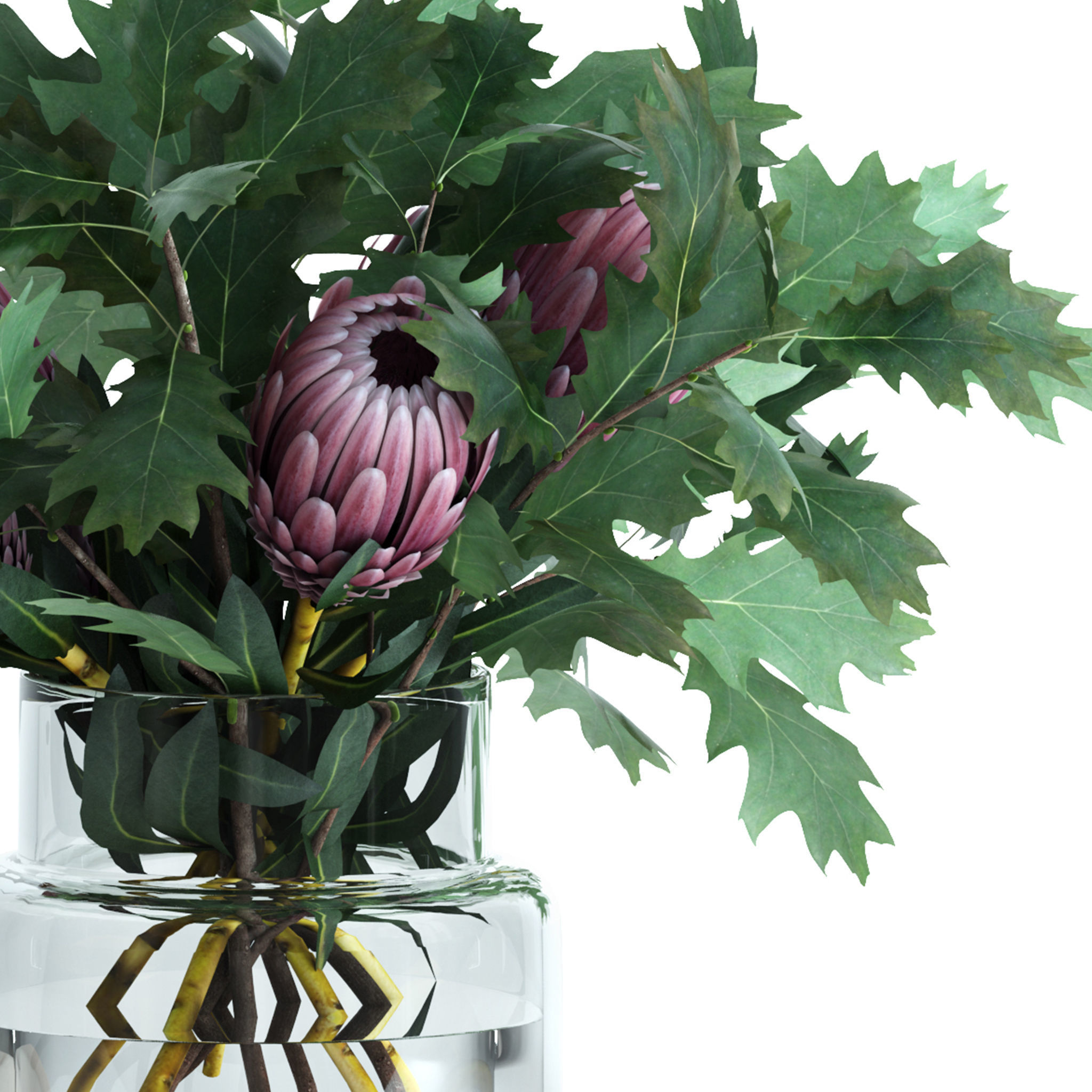 Protea and Oak leaves 3D model_7