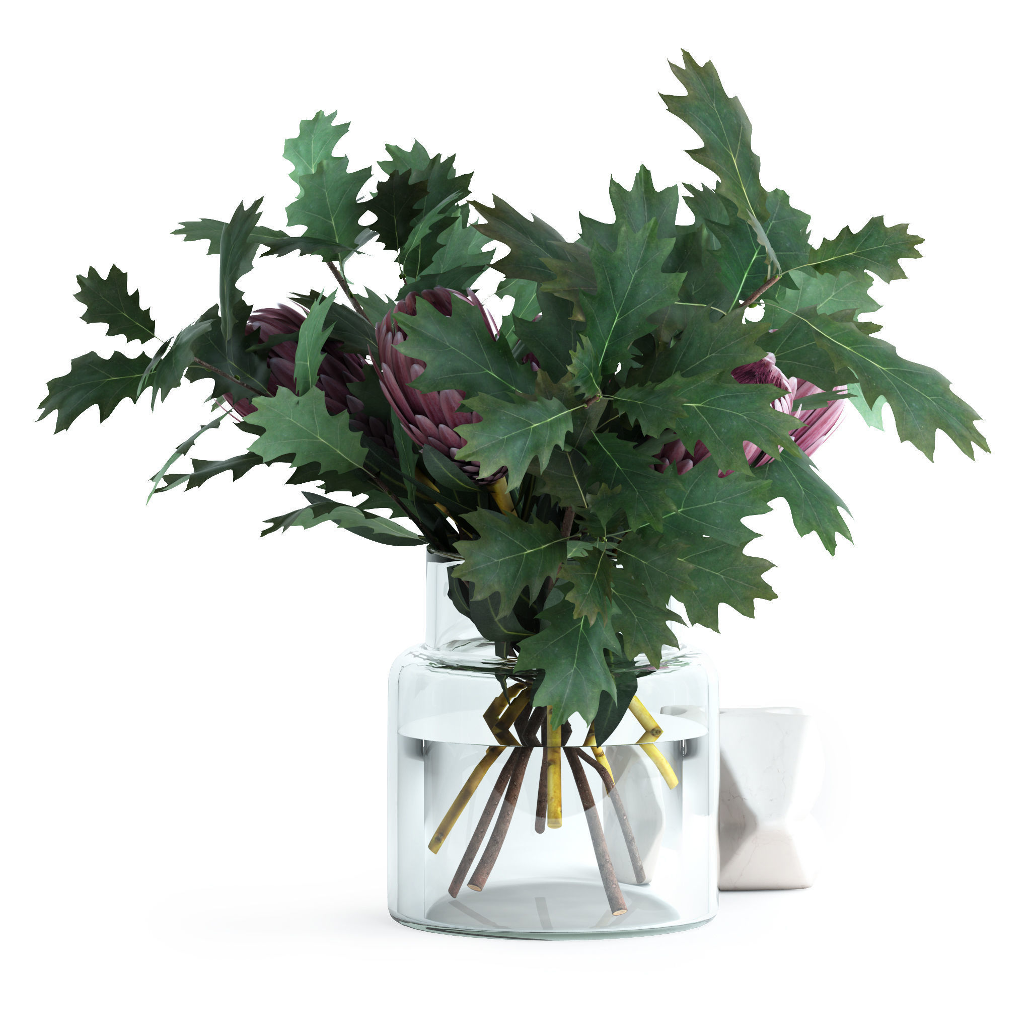 Protea and Oak leaves 3D model_2