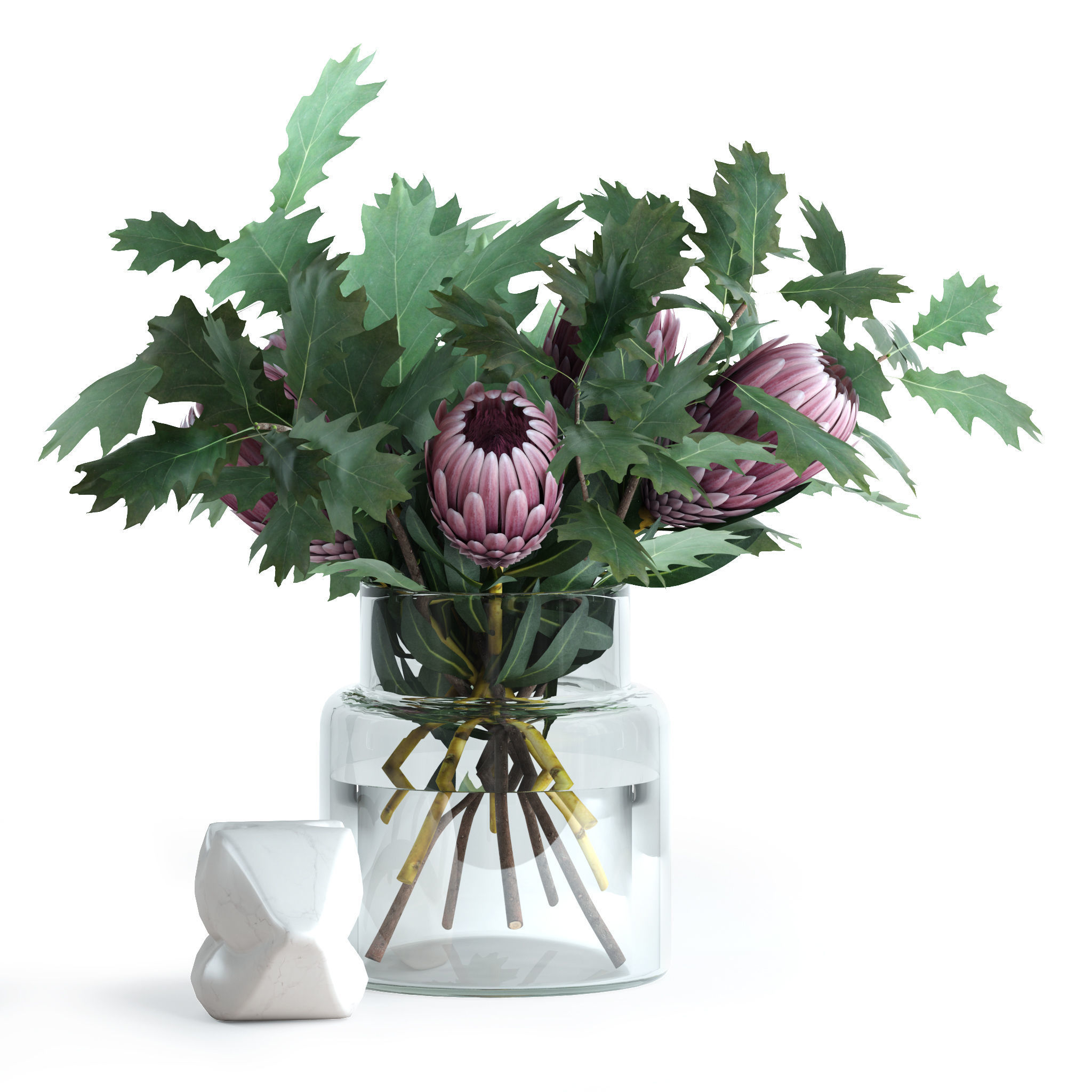 Protea and Oak leaves 3D model_5