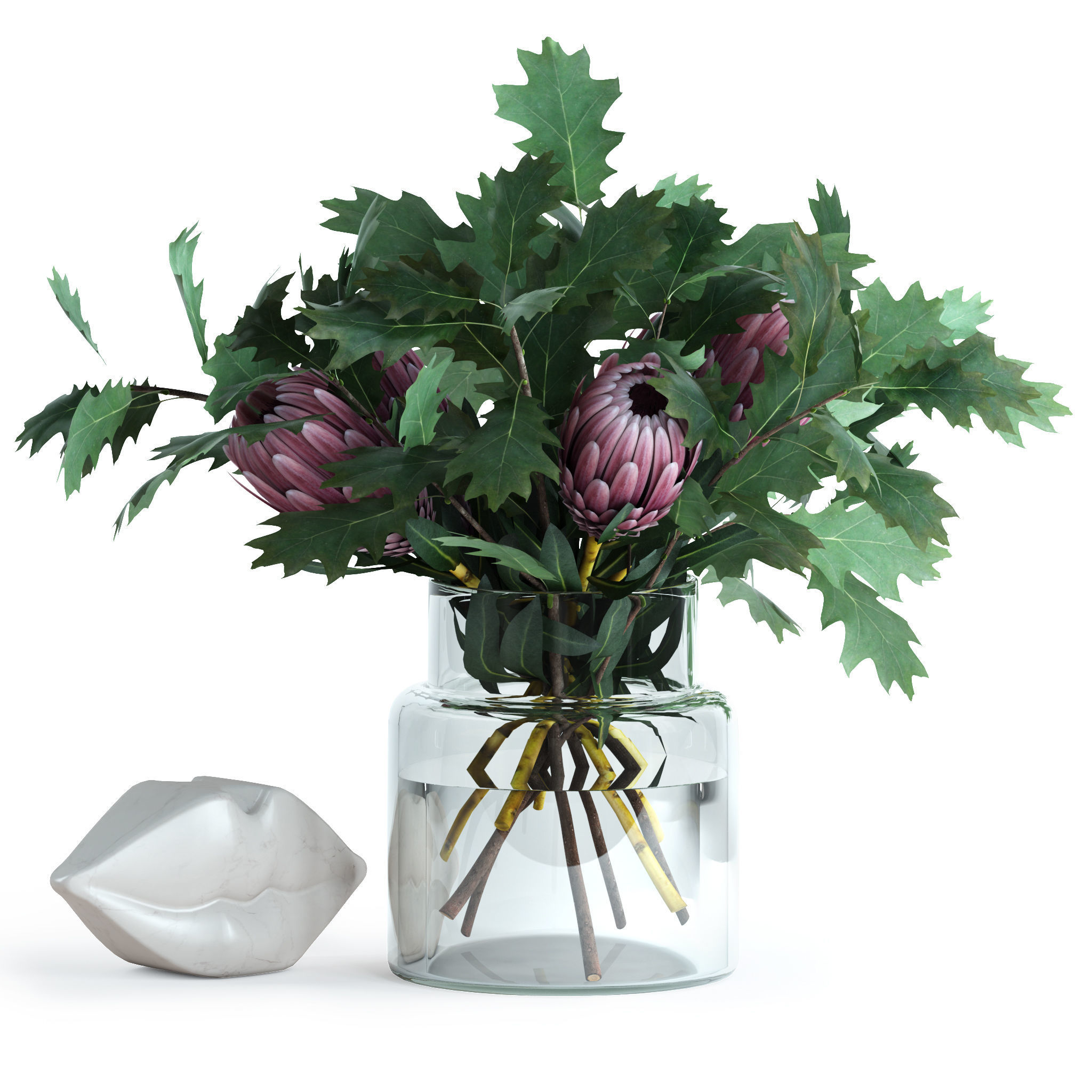 Protea and Oak leaves 3D model_4