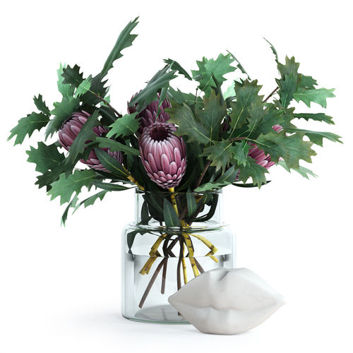 Protea and Oak leaves 3D model