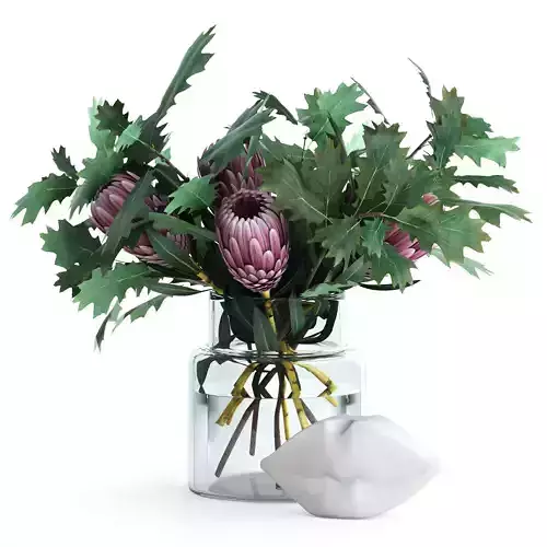 Protea and Oak leaves 3D model