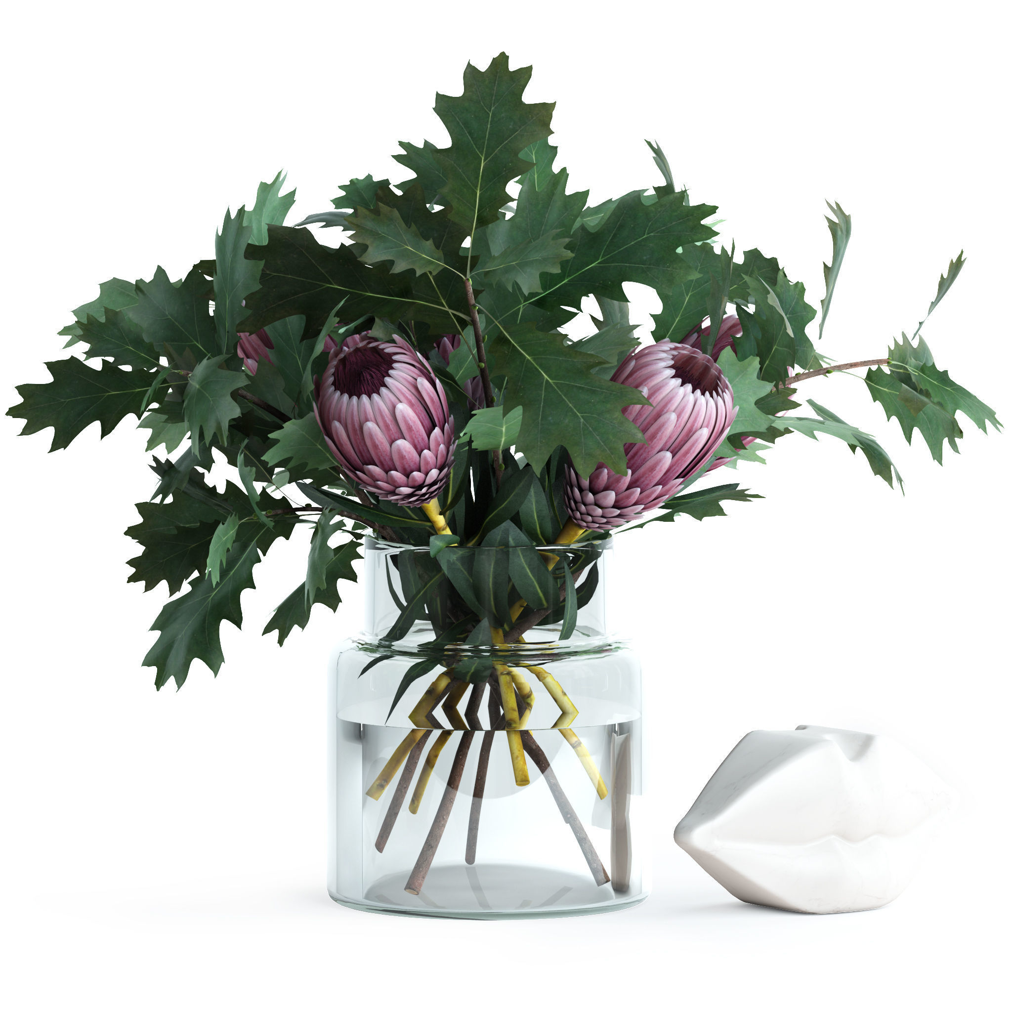 Protea and Oak leaves 3D model_1