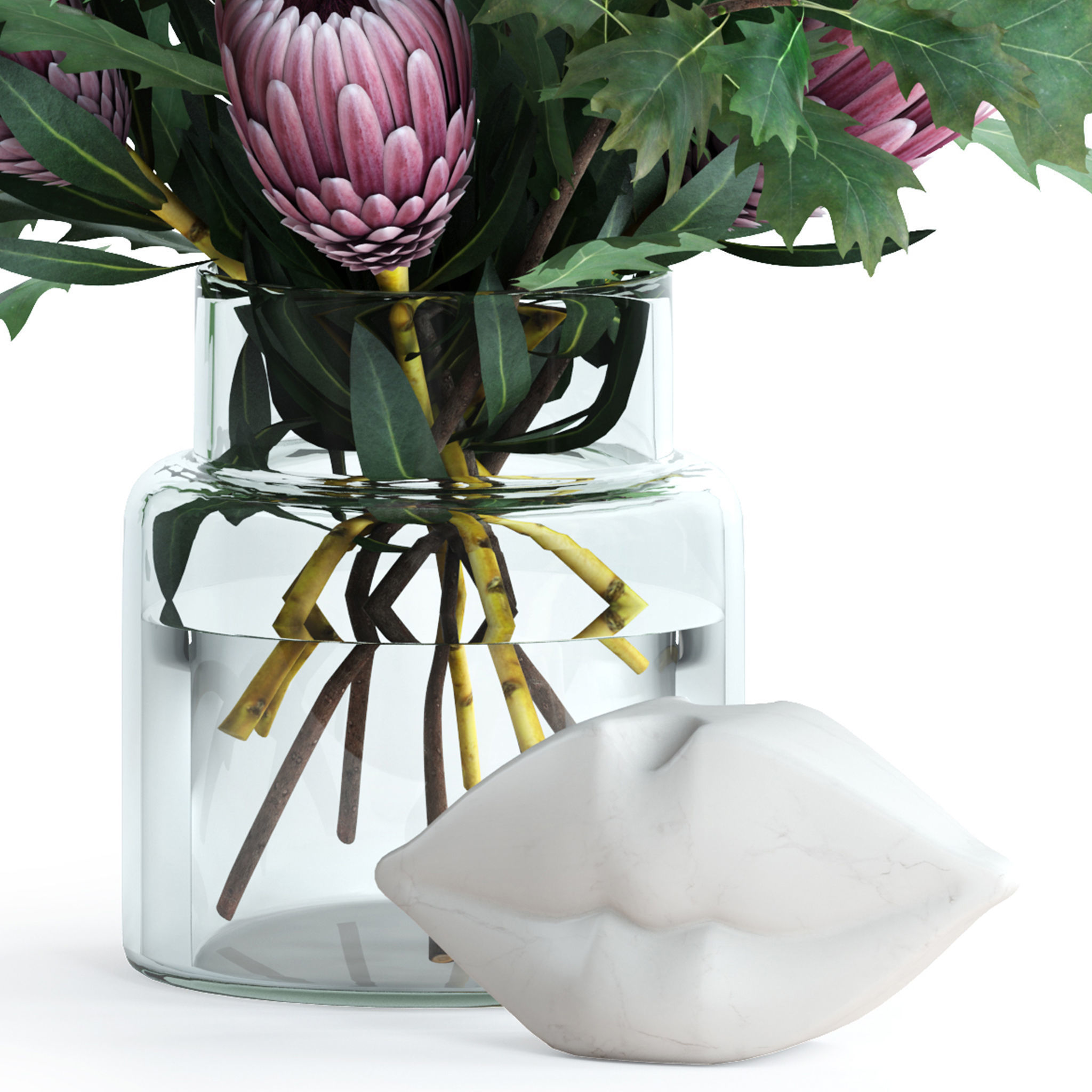 Protea and Oak leaves 3D model_8