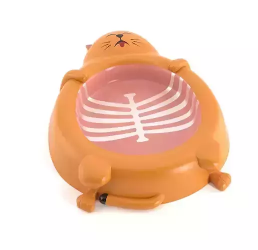 cat food dish