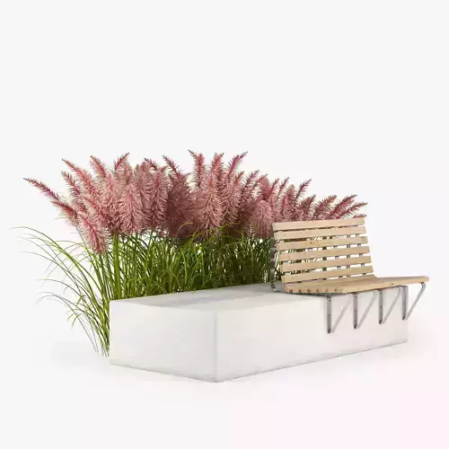 Pink Pampas Grass Seeds 3D model