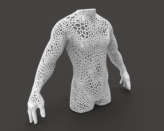 Male body mesh bust  3D print model