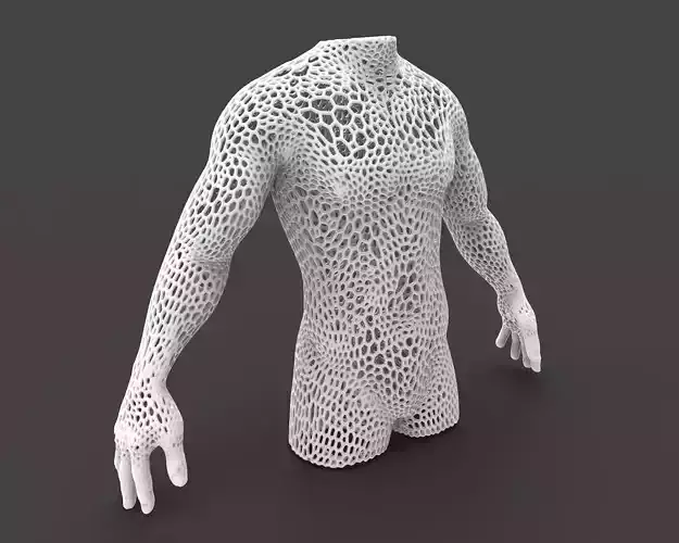 Male body mesh bust  3D print model