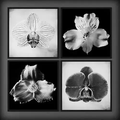 Picture Frames Low-poly 3D model