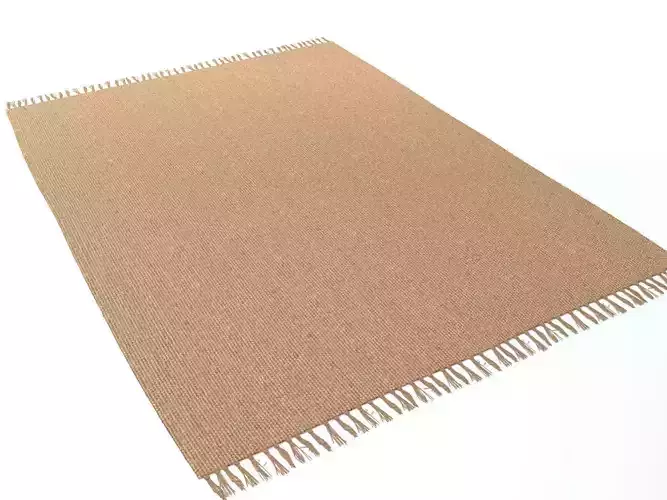 Carpet Natural Jute ZARA HOME