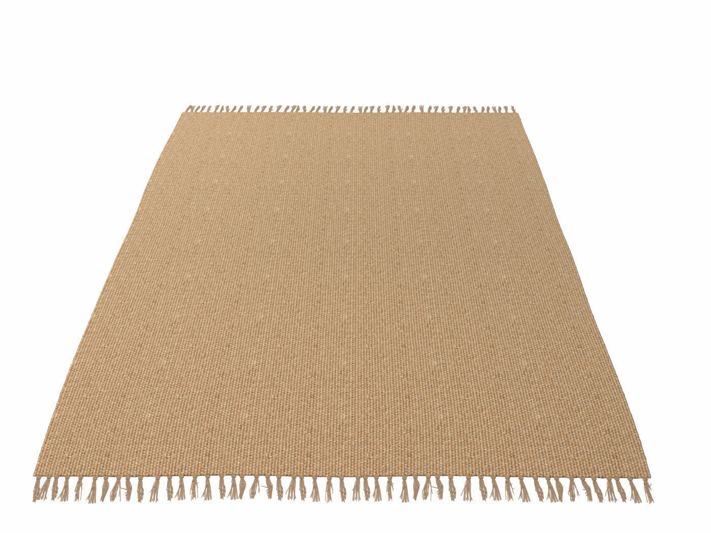 Carpet Natural Jute ZARA HOME 3D model_2