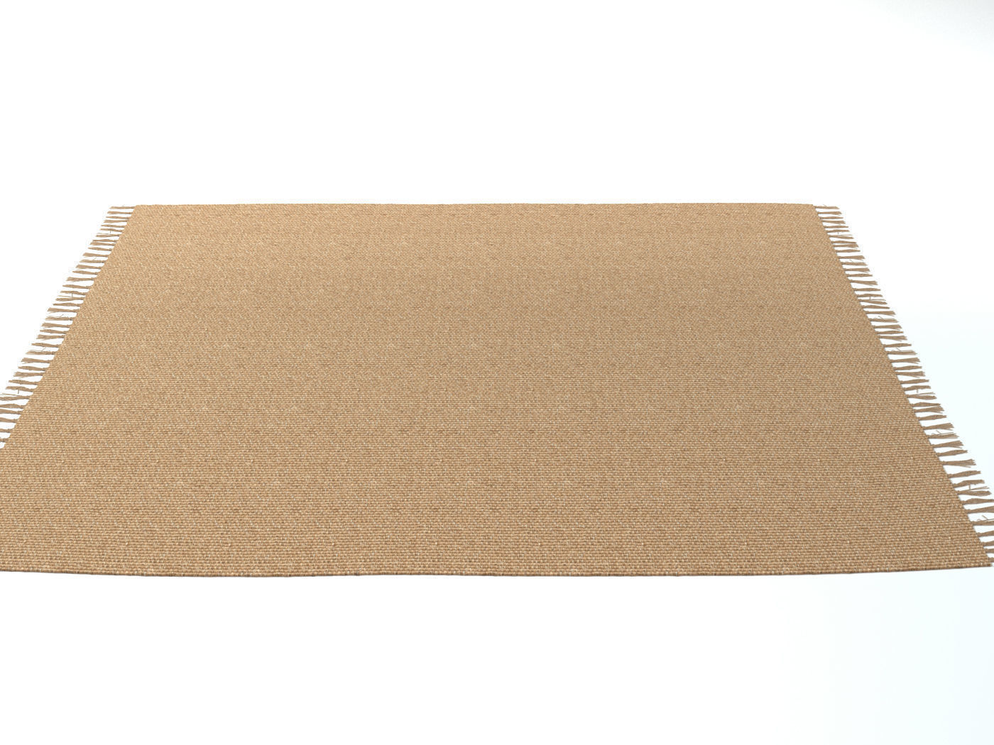 Carpet Natural Jute ZARA HOME 3D model_1