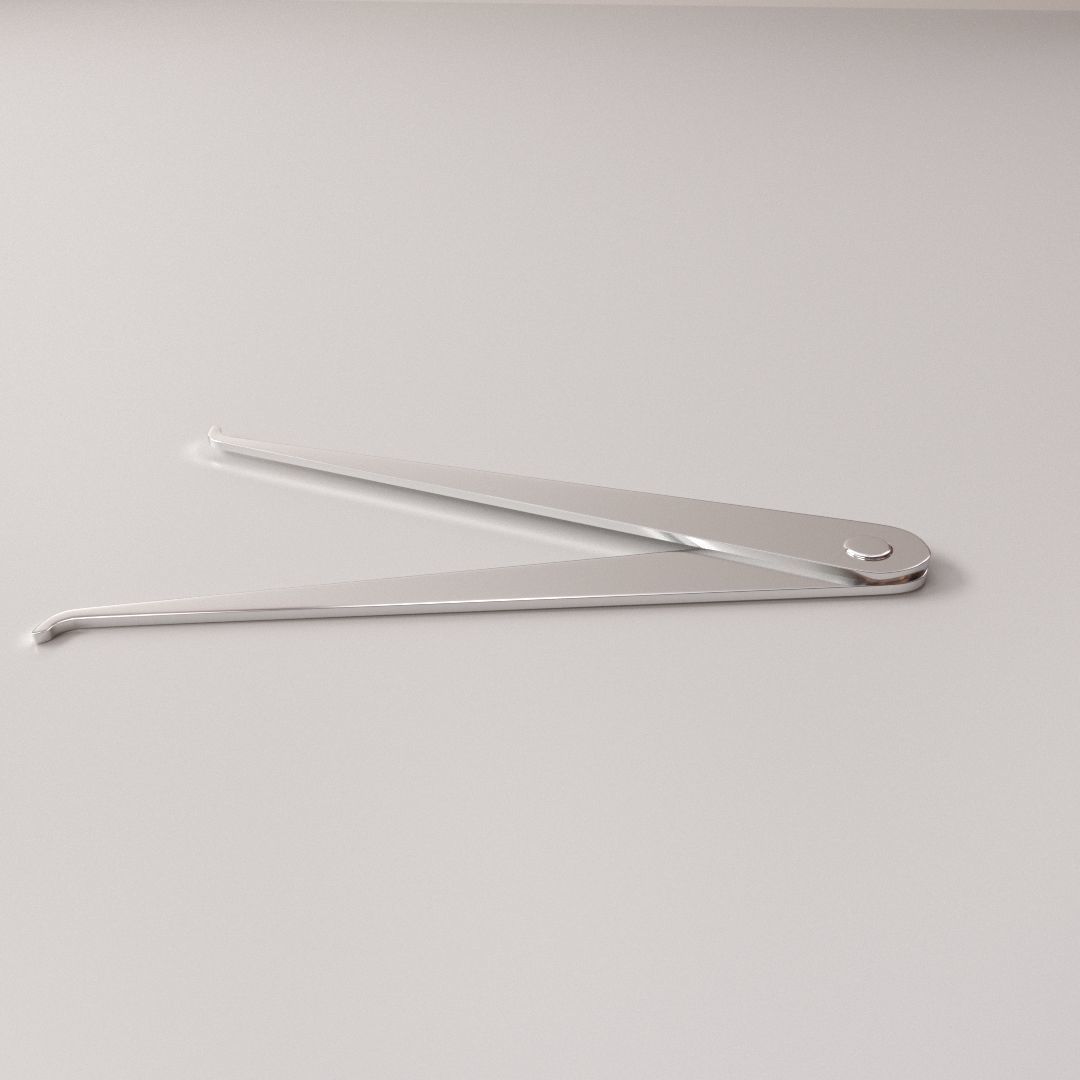 Inside Caliper 3D model_1