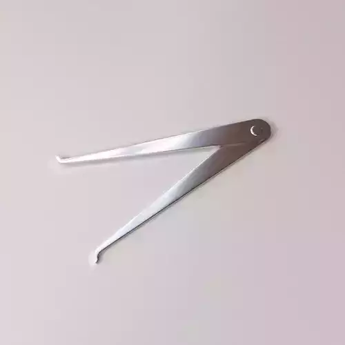 Inside Caliper 3D model