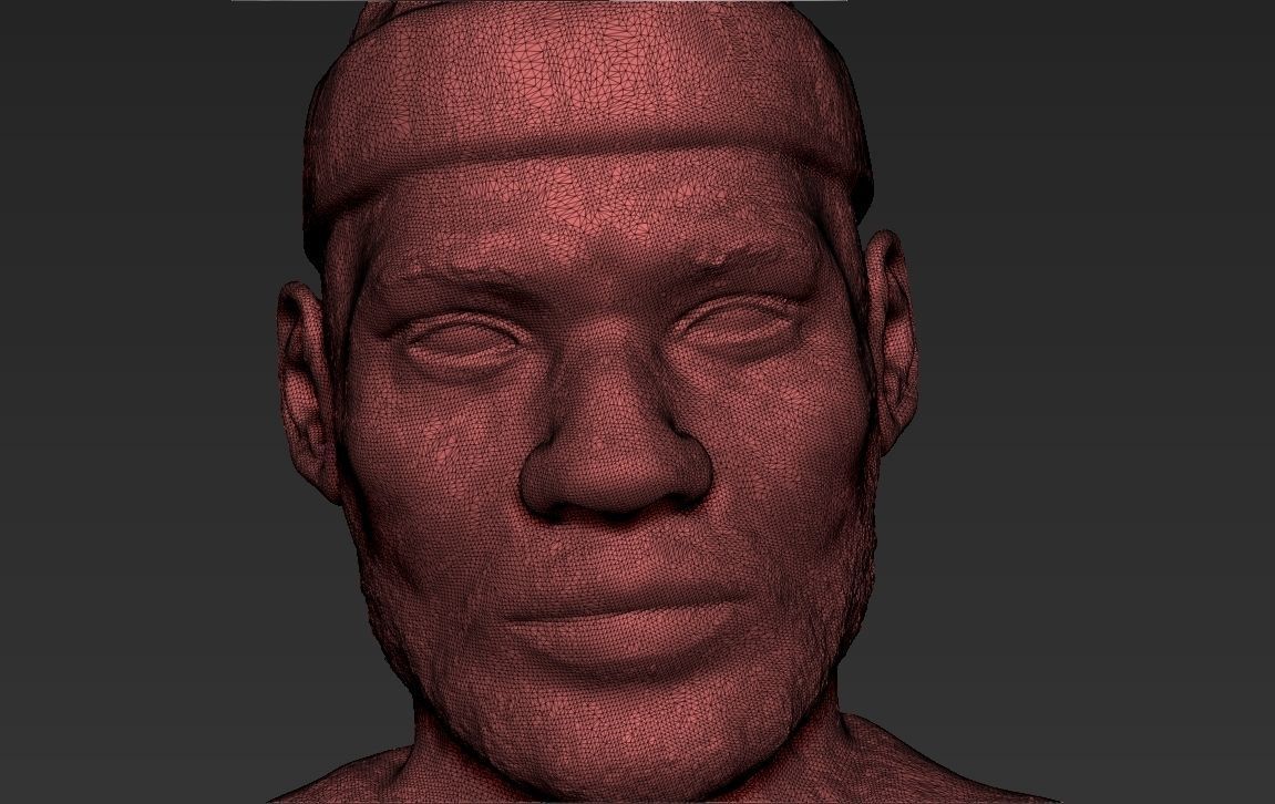 Lebron James 3D printing ready stl obj formats  3D print model_10