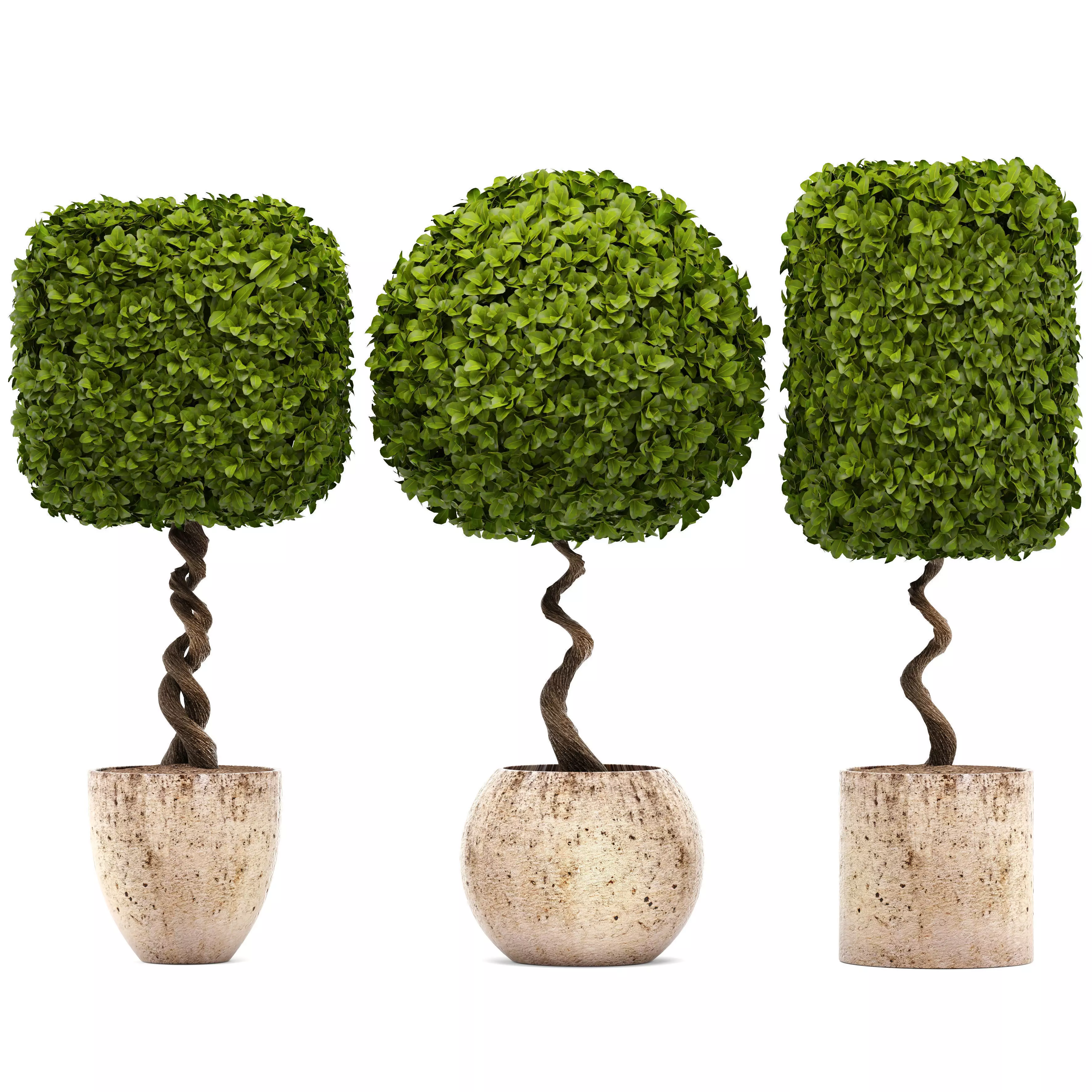 Ornamental tree 3D model