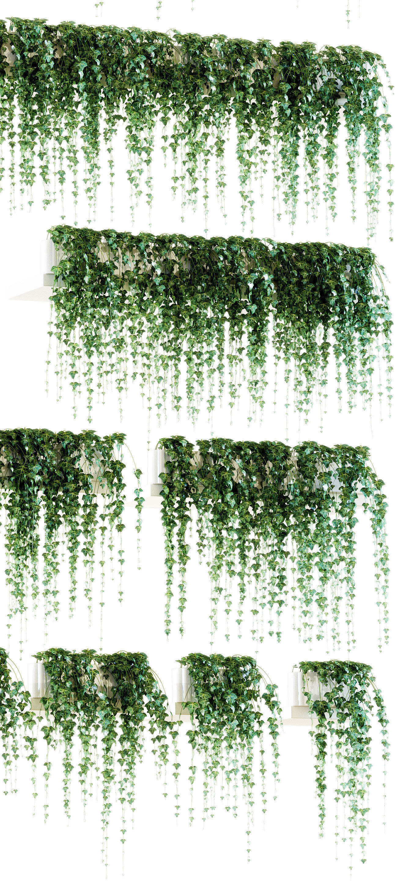 Ivy on the shelves 11 models 3D model_1