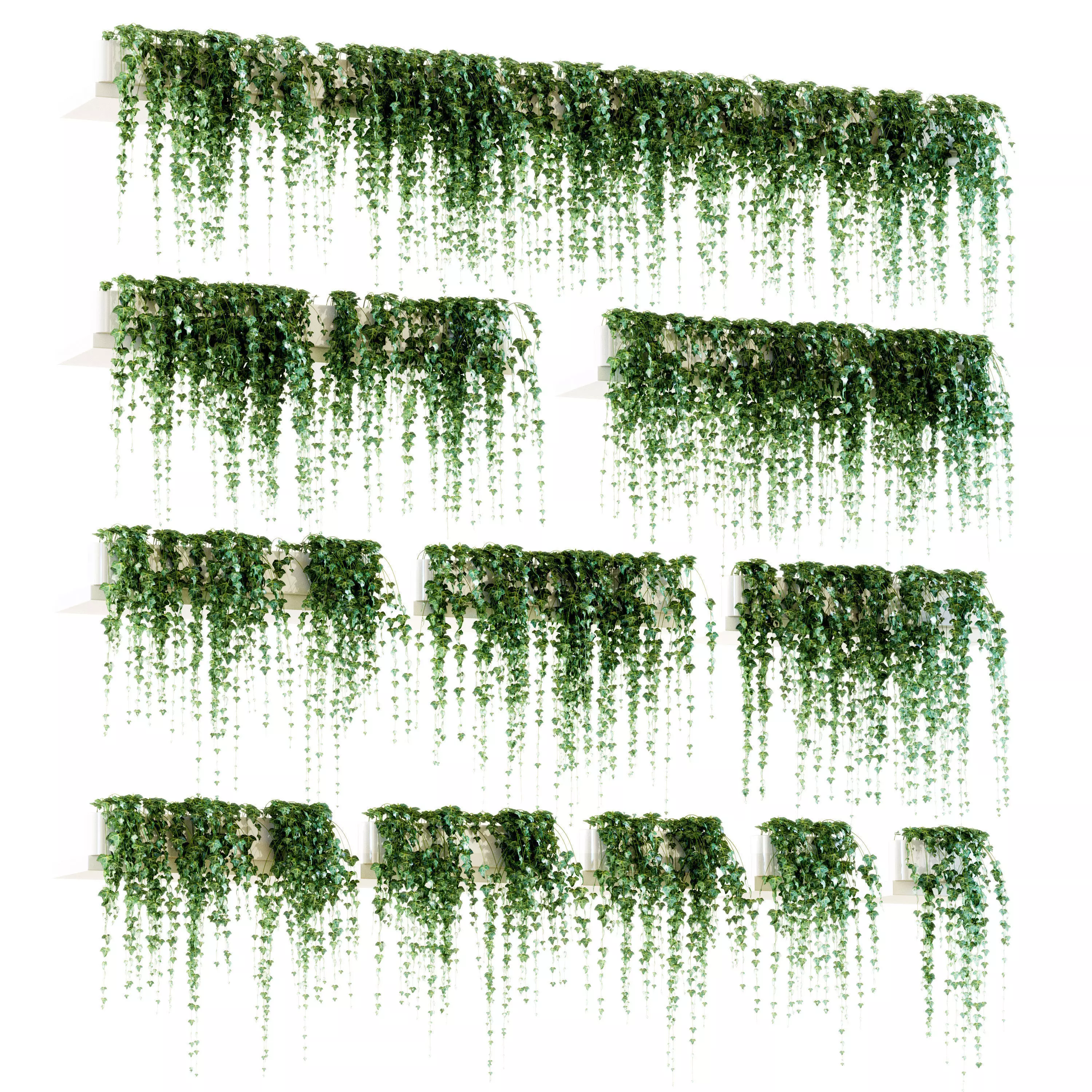 Ivy on the shelves 11 models 3D model