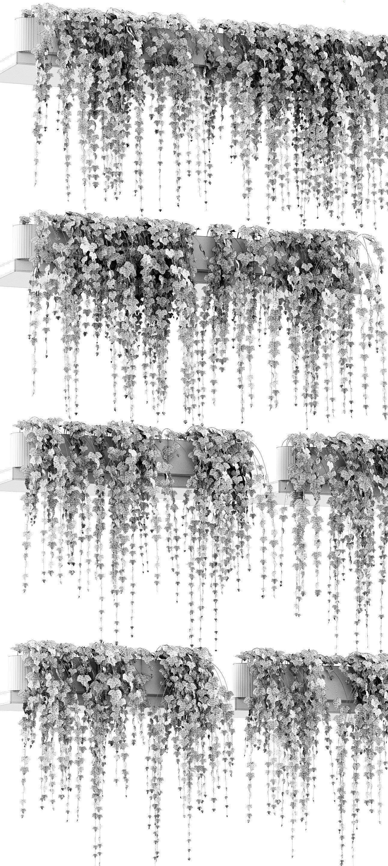 Ivy on the shelves 11 models 3D model_3