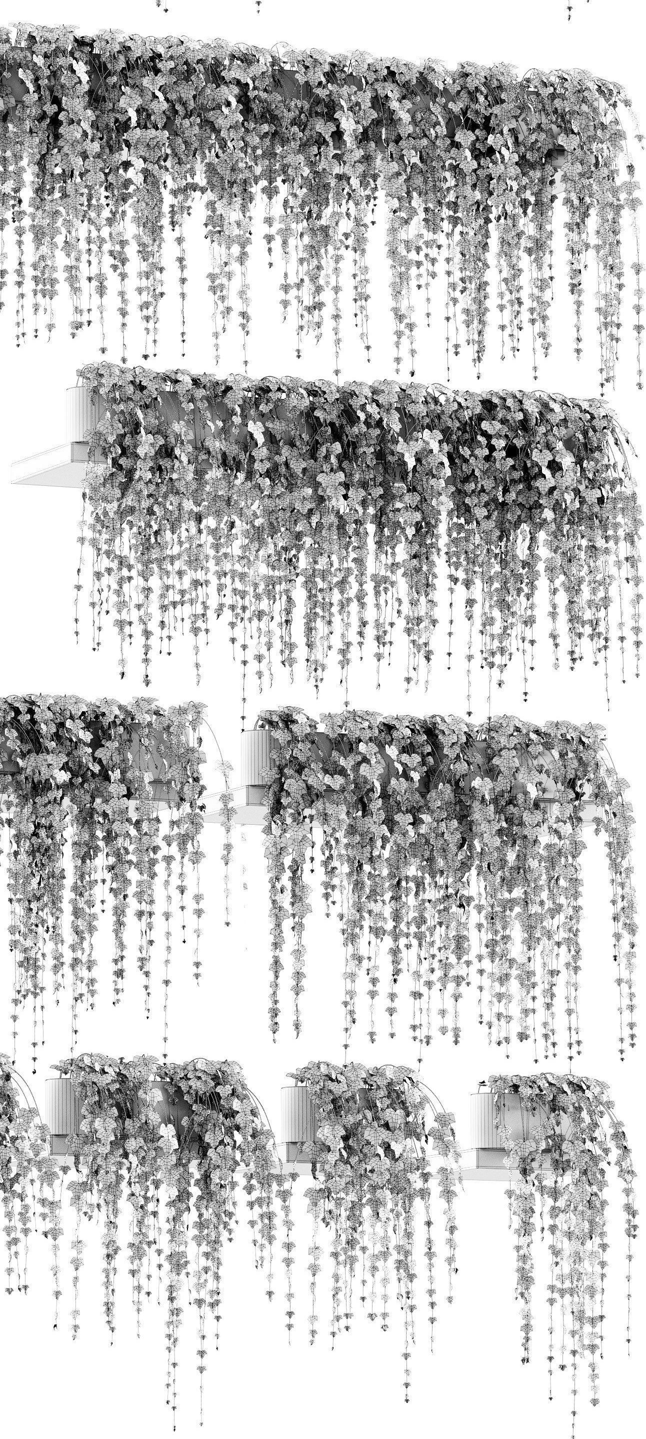 Ivy on the shelves 11 models 3D model_4
