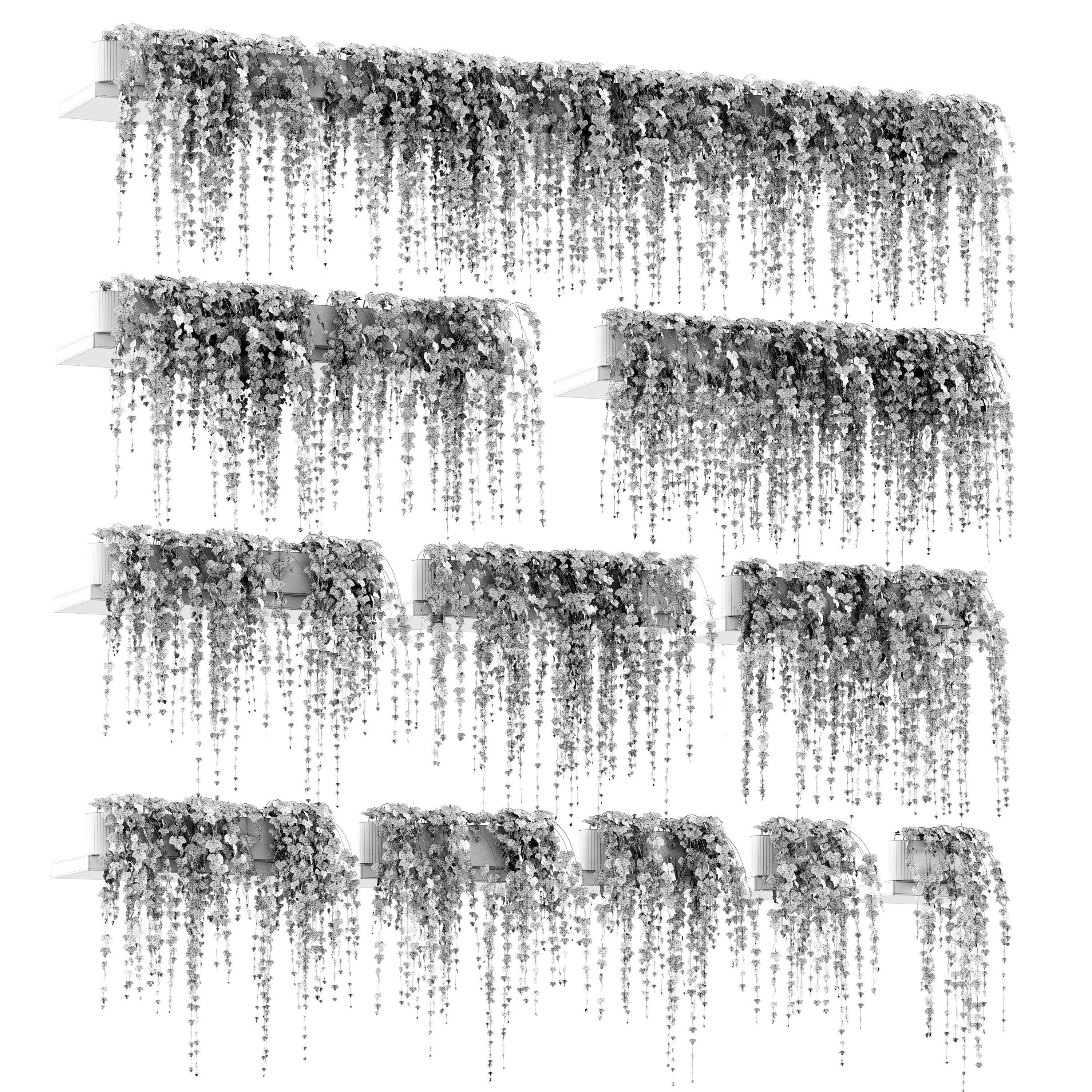 Ivy on the shelves 11 models 3D model_5