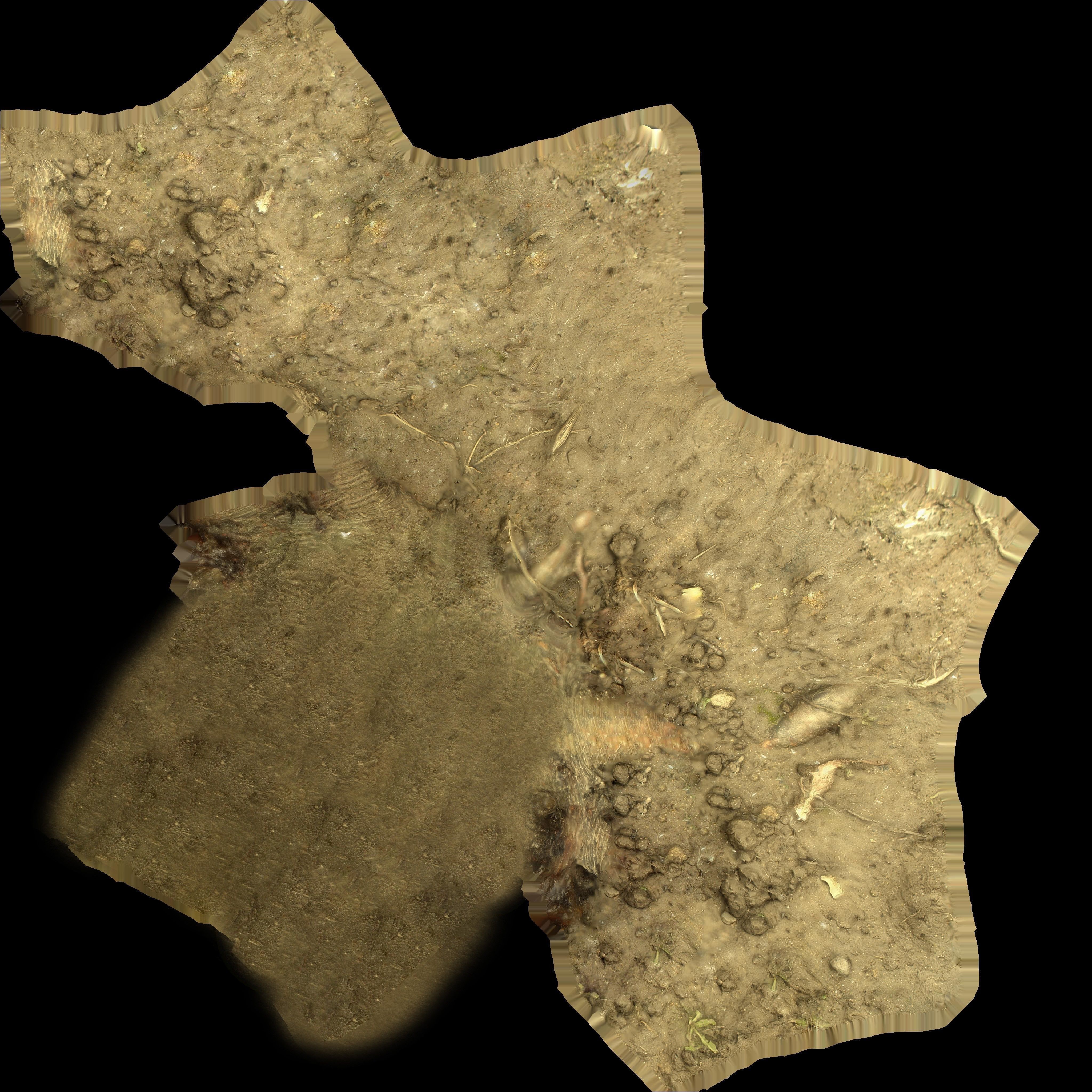 Tree stump Low-poly 3D model_5