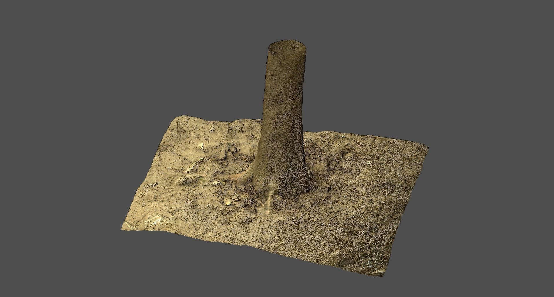 Tree stump Low-poly 3D model_2