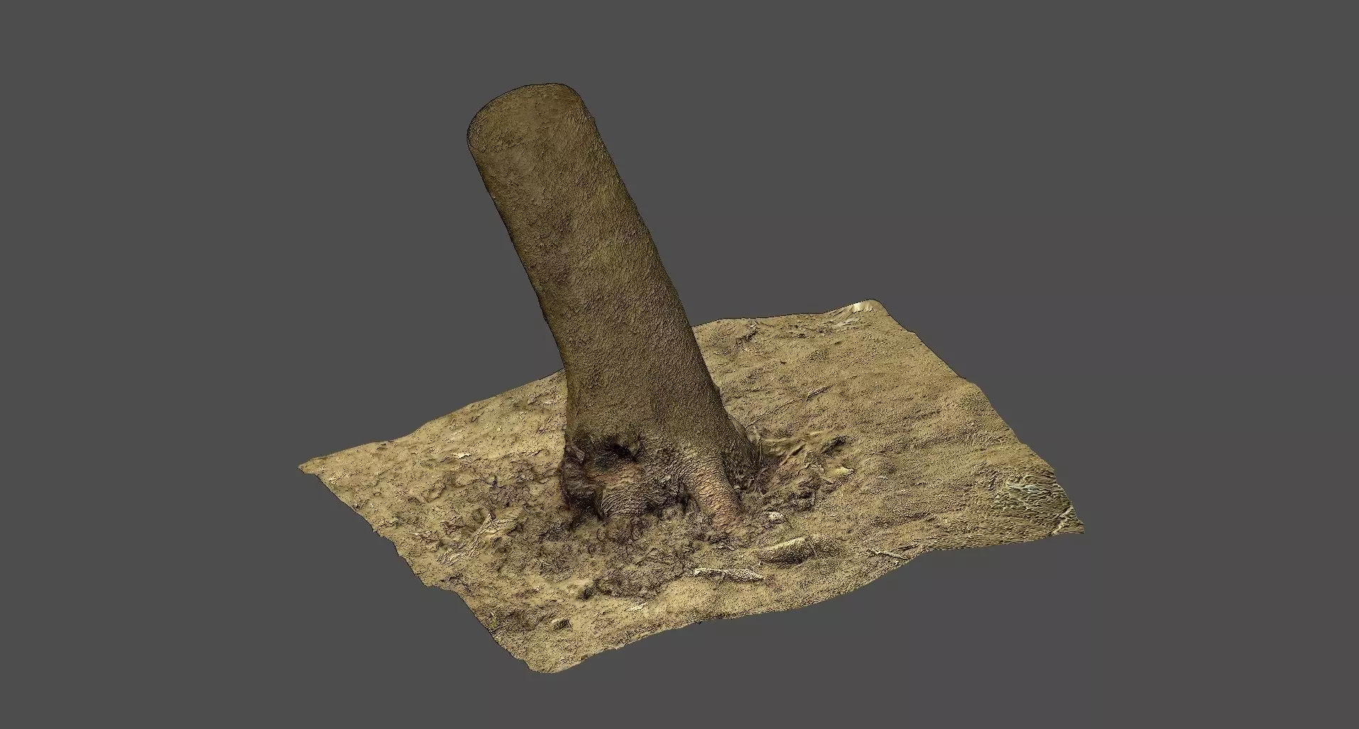 Tree stump Low-poly 3D model_0